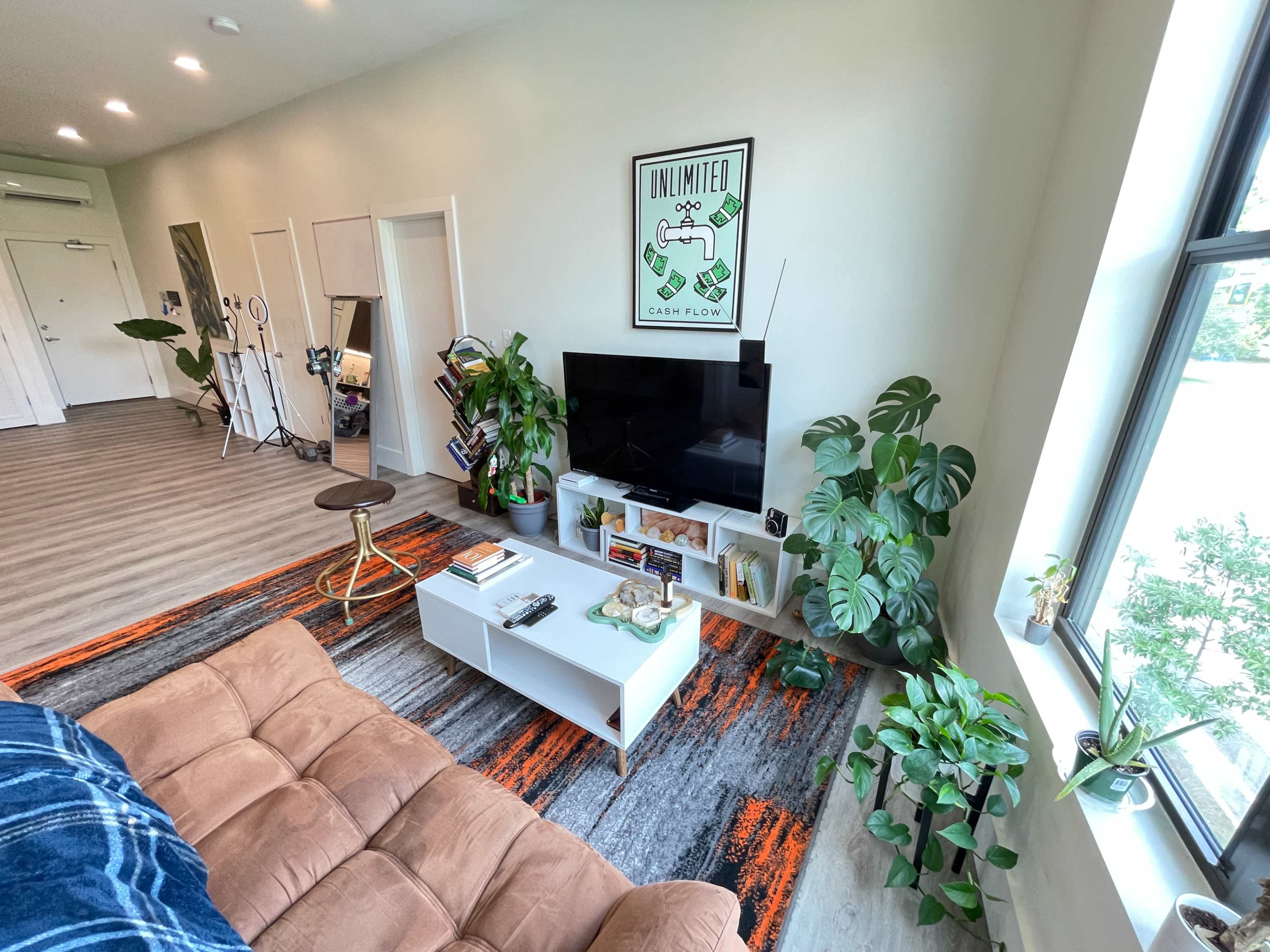 A living room features a brown couch, a white coffee table, a television, house plants, and a wall poster, all arranged on a colorful area rug.