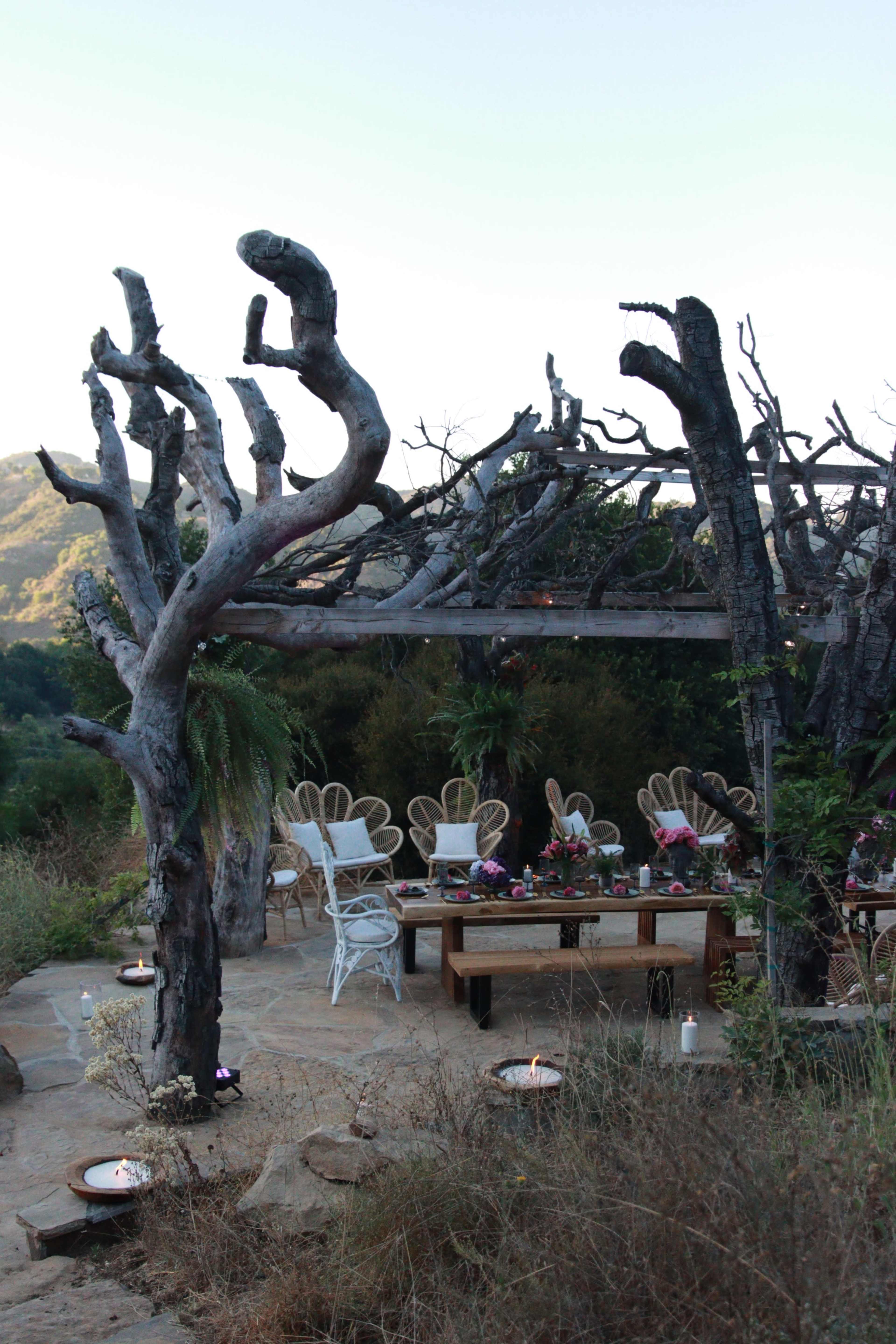 A rustic outdoor setting features a wooden dining table surrounded by unique chairs under a trellis of bare branches, with mountains in the background.
