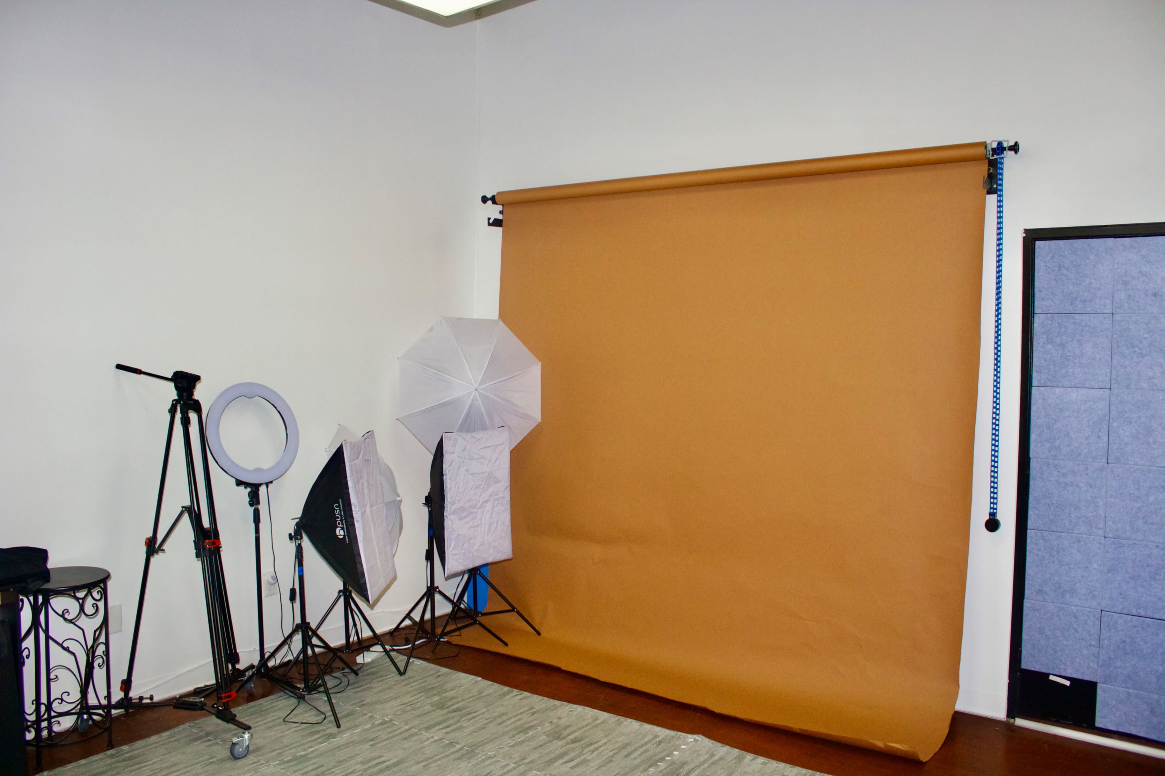 The image shows a photography studio setup with a brown backdrop and various lighting equipment, including umbrellas and a ring light.