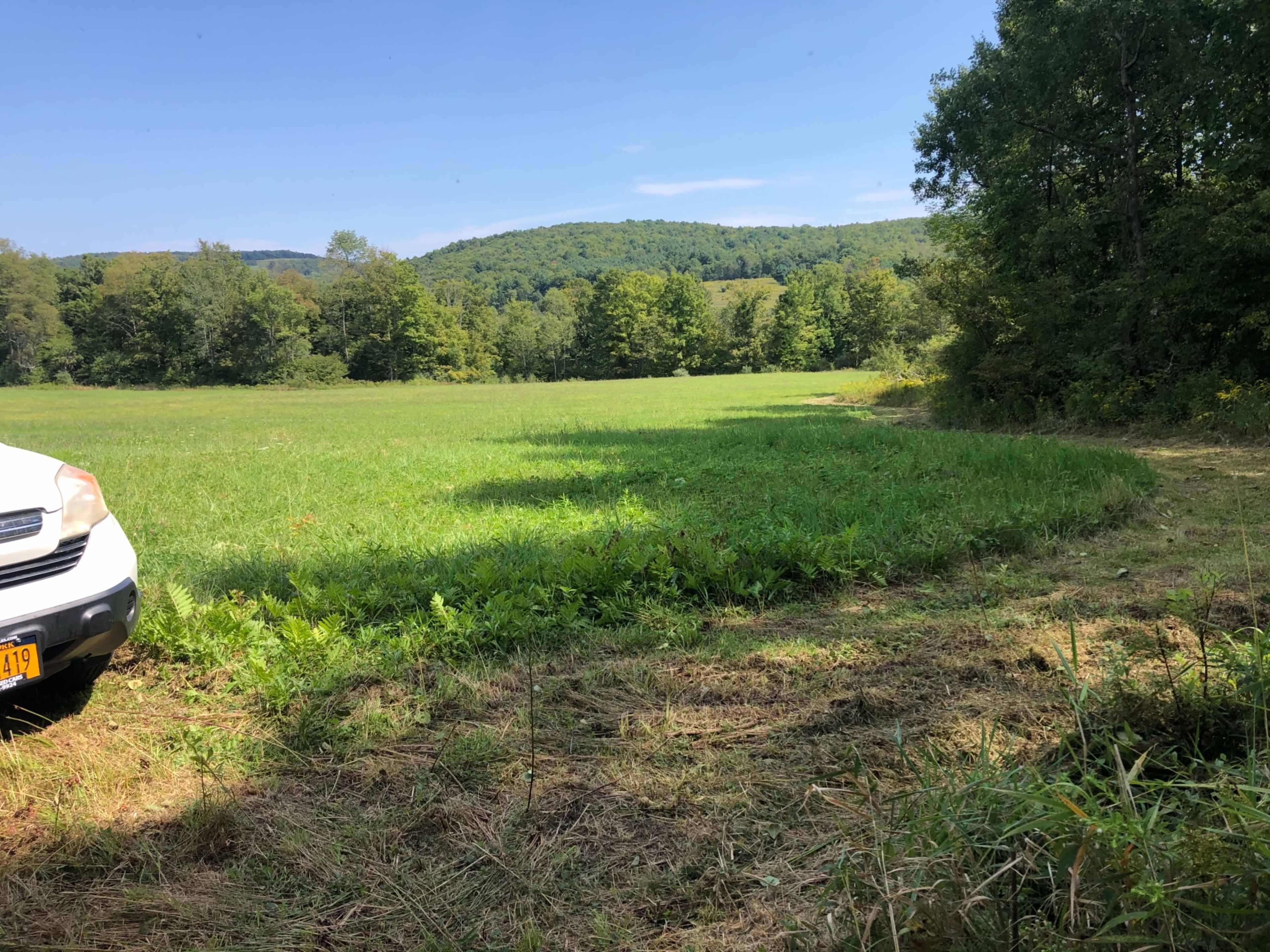 A white vehicle is parked near a grassy field surrounded by trees and a hillside in the background.