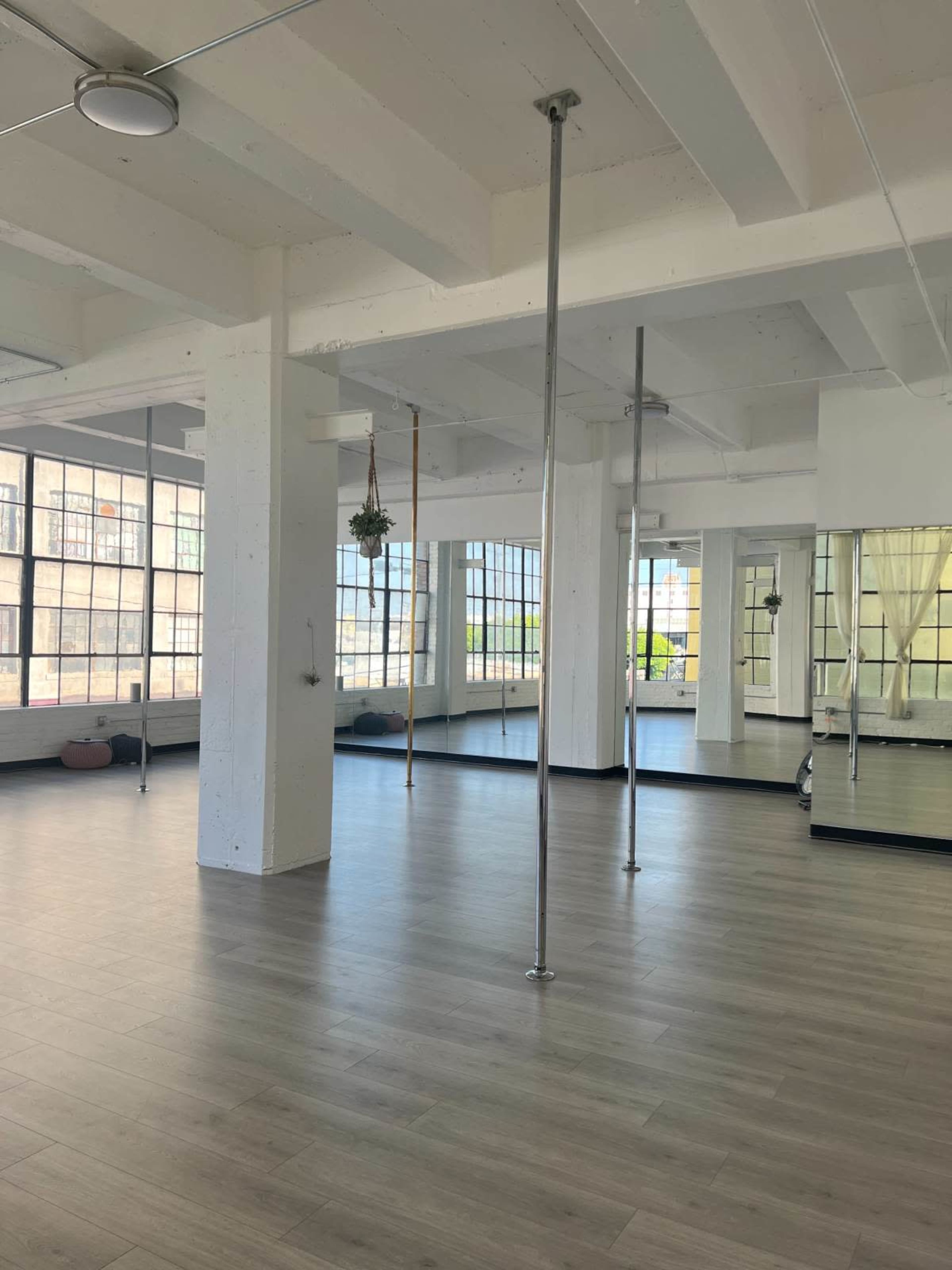 The image shows a spacious, well-lit exercise studio with large windows, wooden flooring, and several sturdy poles installed on the floor.