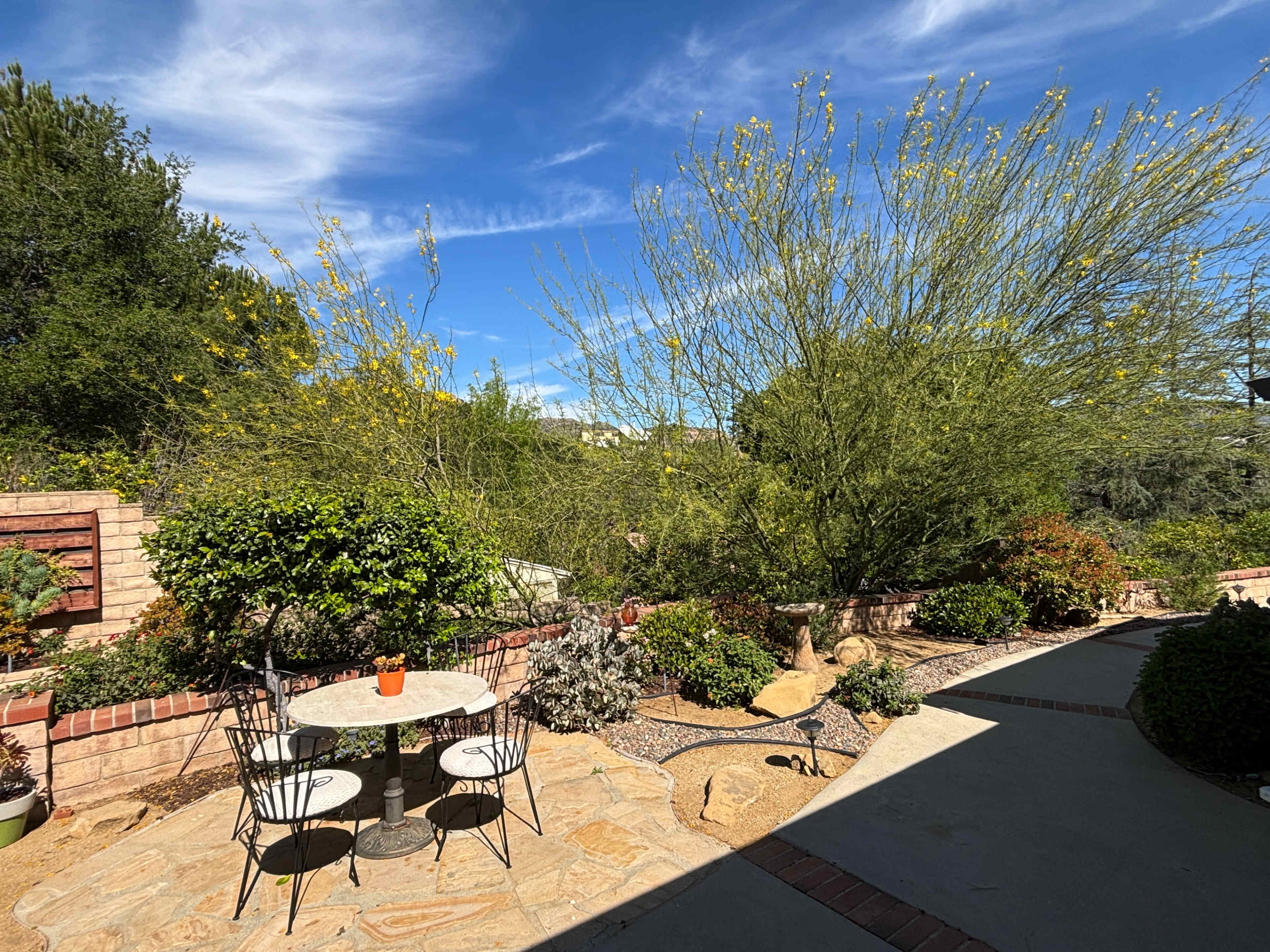 The image shows a patio area with a small table and chairs surrounded by various plants and trees under a blue sky.