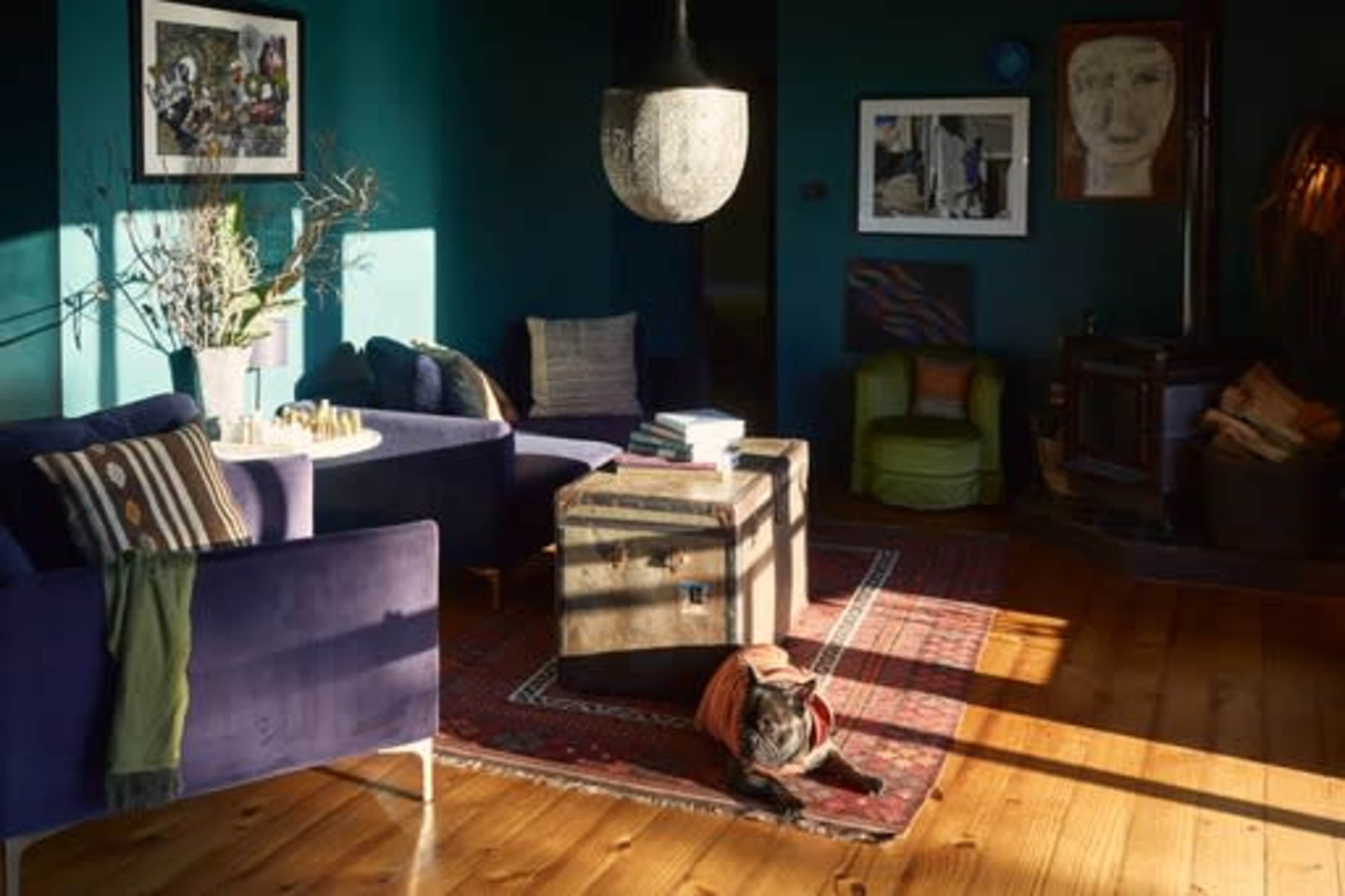 The image depicts a cozy living room with dark teal walls, a wooden floor, a vintage trunk as a coffee table, and a cat lounging on a patterned rug.