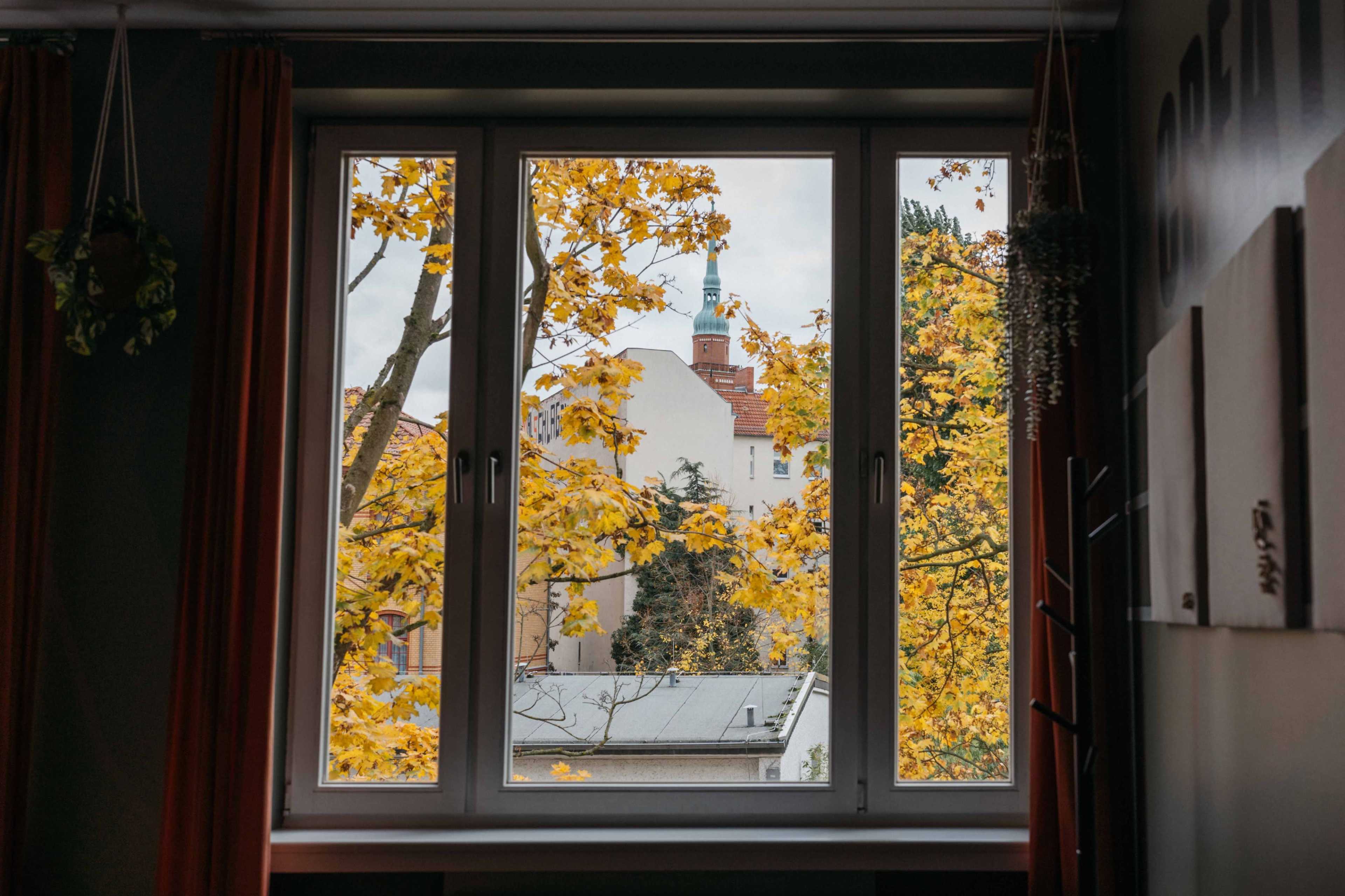 A window frames a view of yellow-leaved trees and a building with a spire in the background.