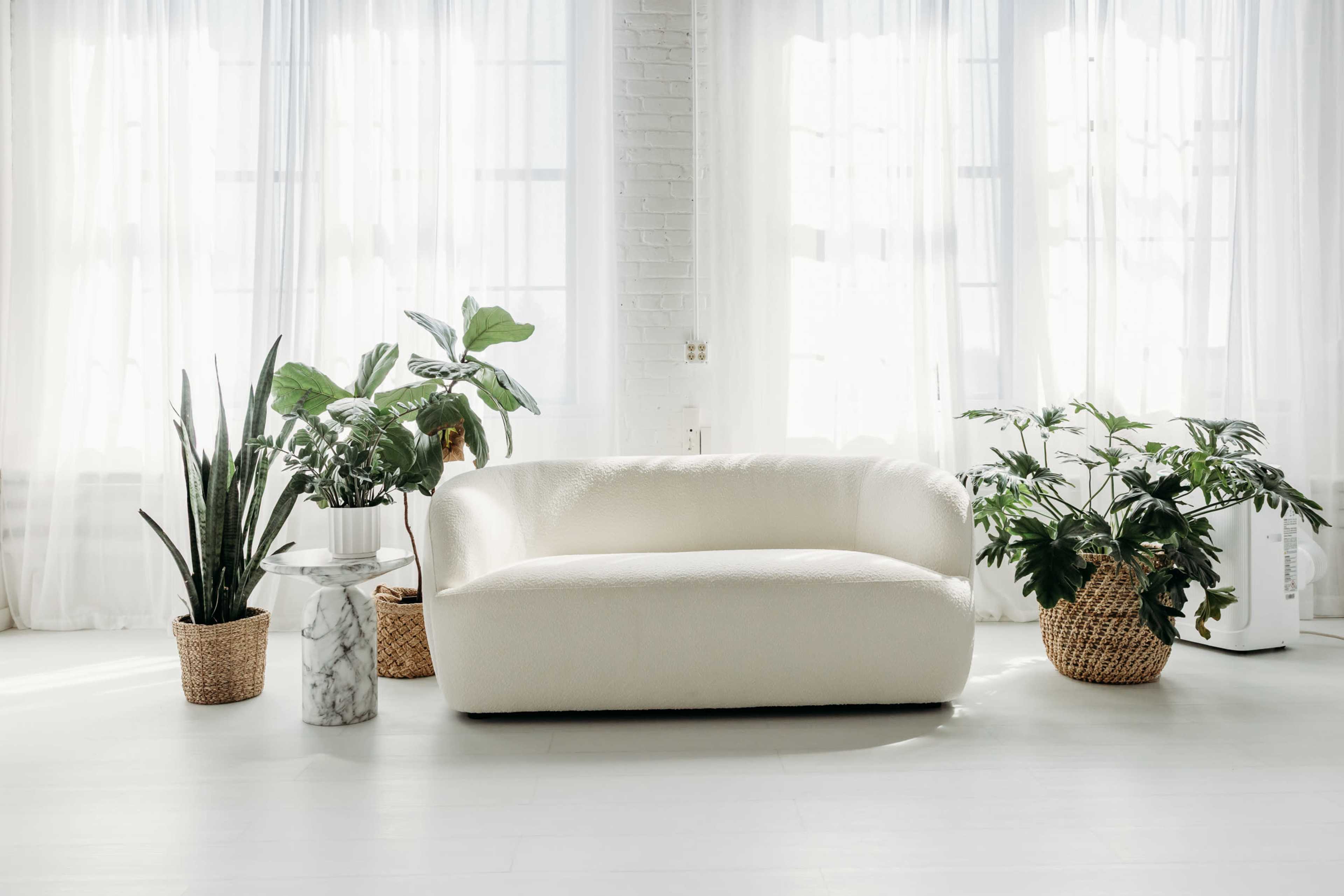A white, curved sofa is positioned in a bright room surrounded by potted plants and a small side table.