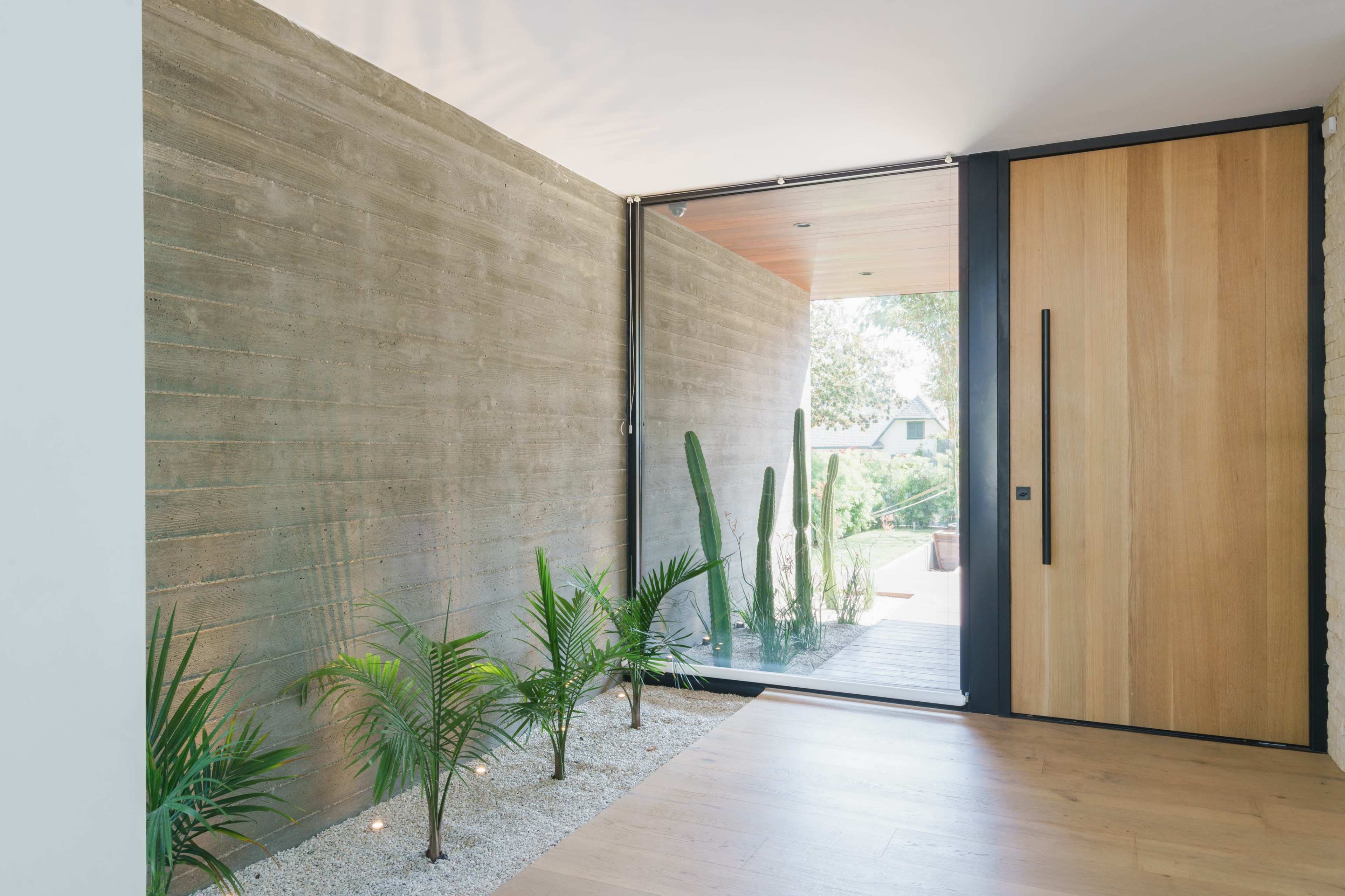 A modern entrance hall featuring a glass door, a concrete wall, and greenery with palm plants and cacti on a pebble surface.