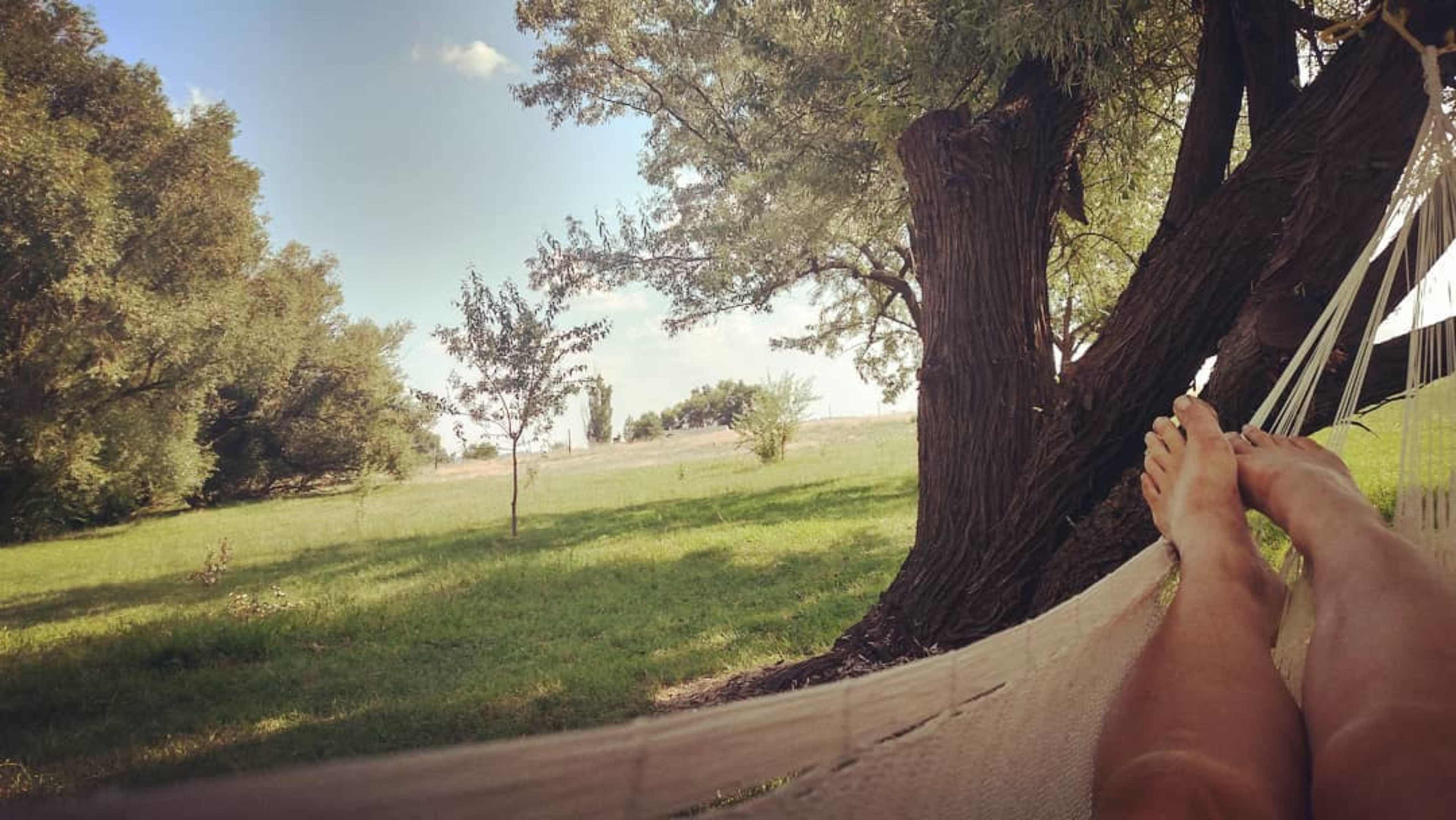 A person is lying in a hammock with their feet resting on the fabric, surrounded by trees and a grassy area.