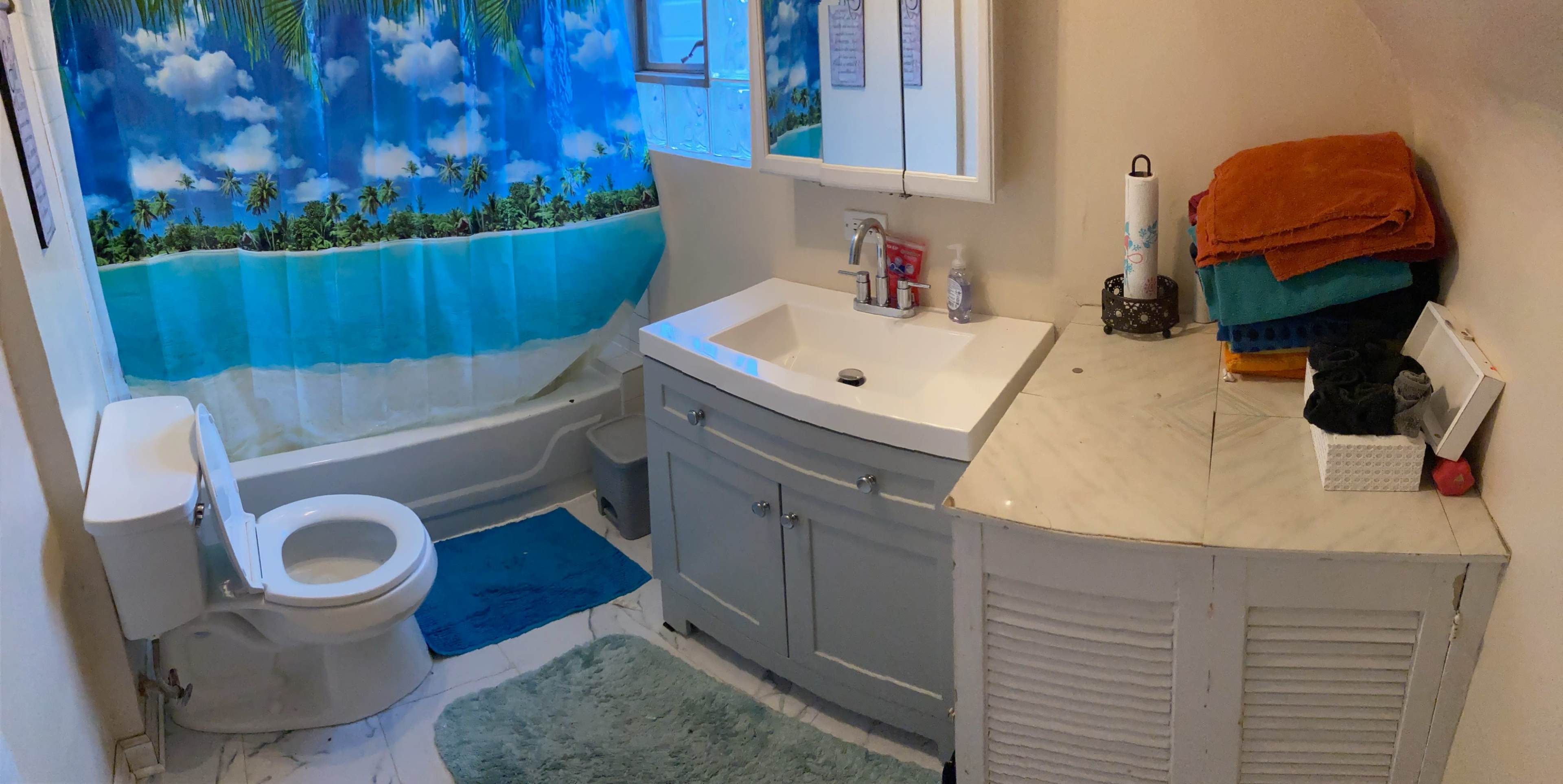 The bathroom features a toilet, a sink with a marble countertop, and a tropical-themed shower curtain.