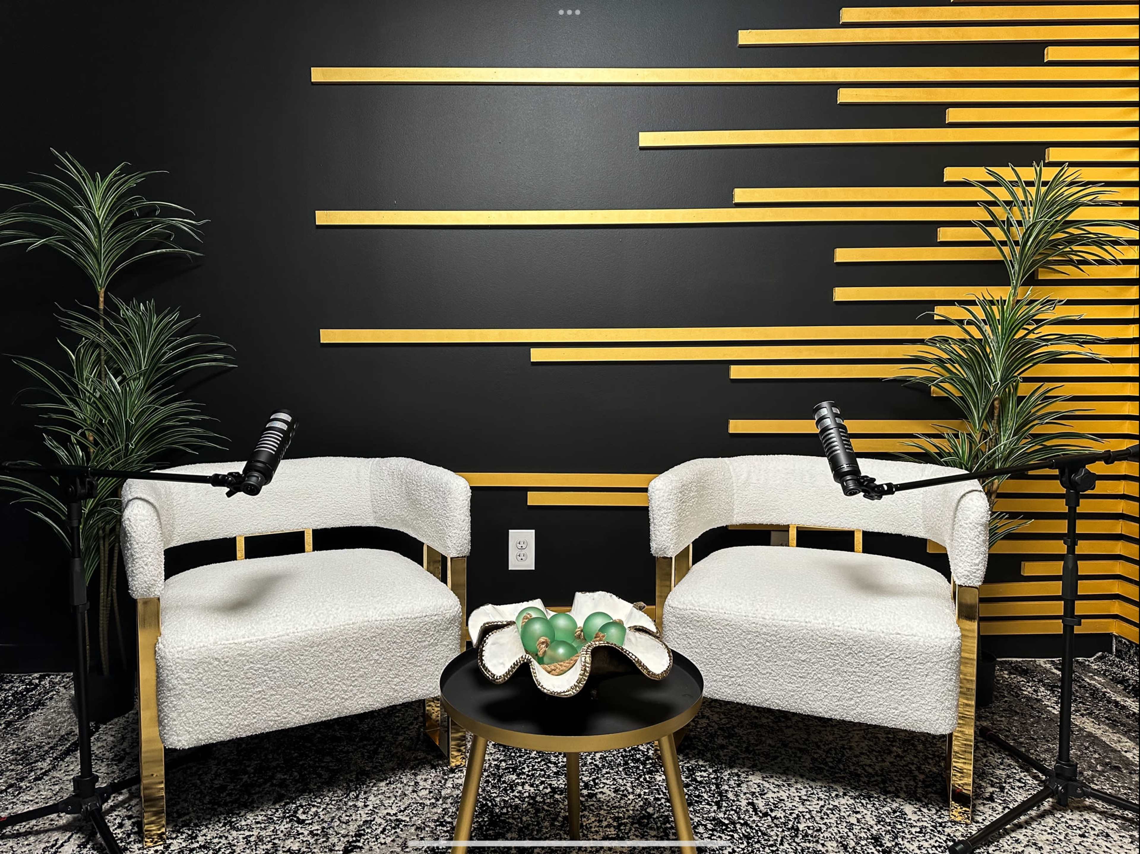 Professional Podcast Recording studio Image in Iowa Colony, Rosharon, TX