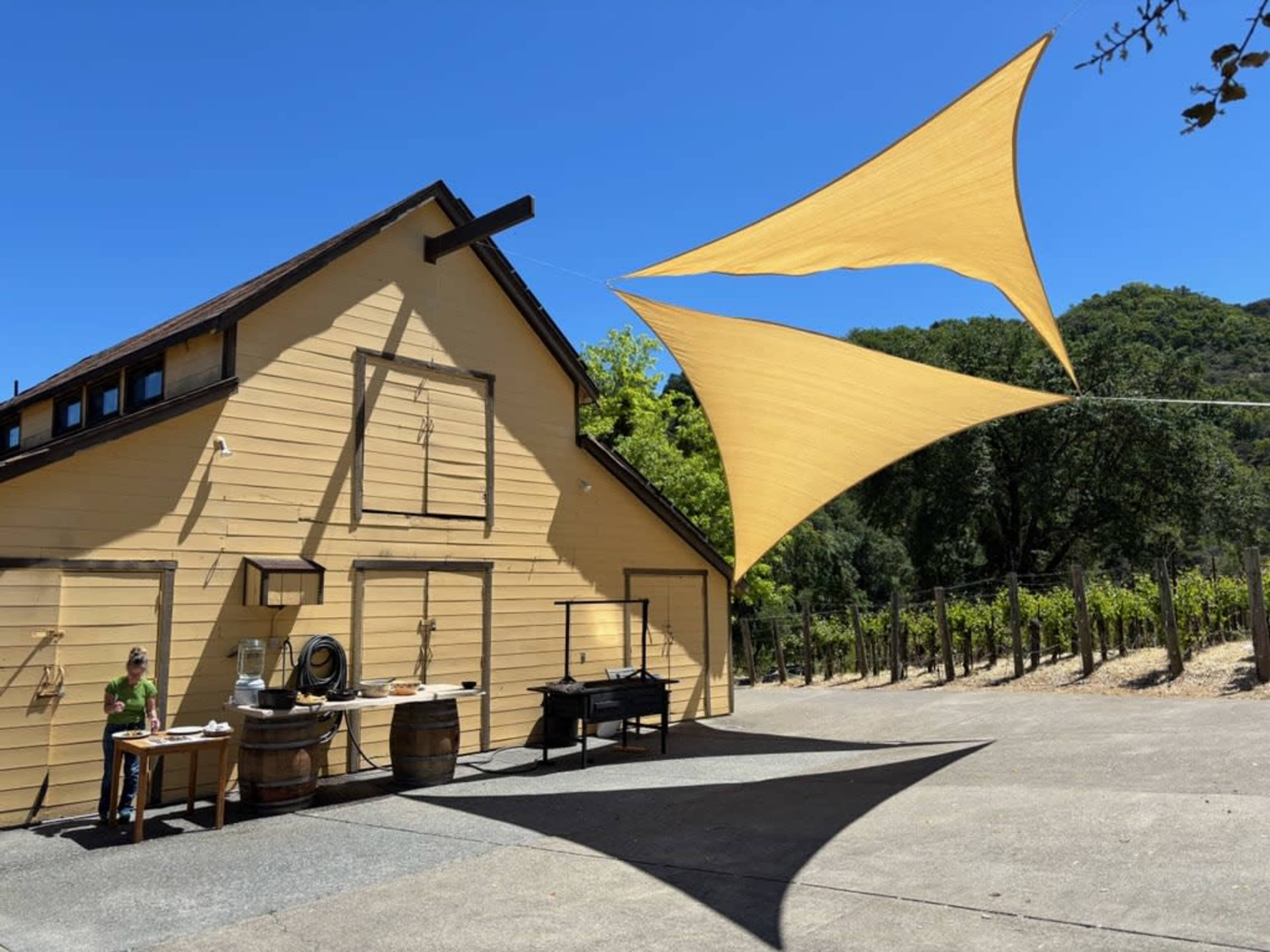 Private Vineyard Retreat, Stunning views: On-Site Wine Tasting Image in , Hopland, CA