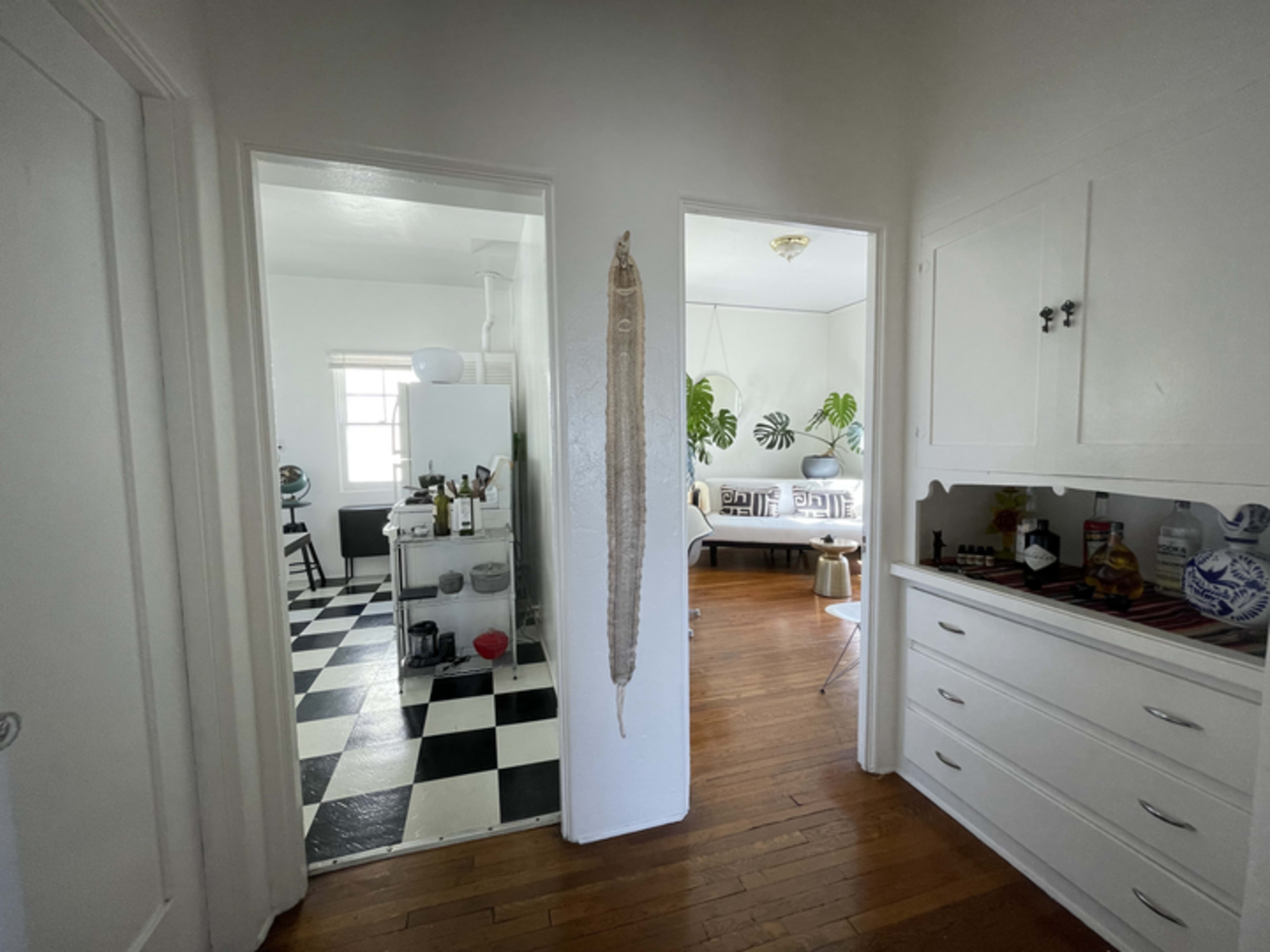 A hallway leads to a kitchen and living area, features black and white checkered flooring, and is adorned with houseplants and white cabinetry.