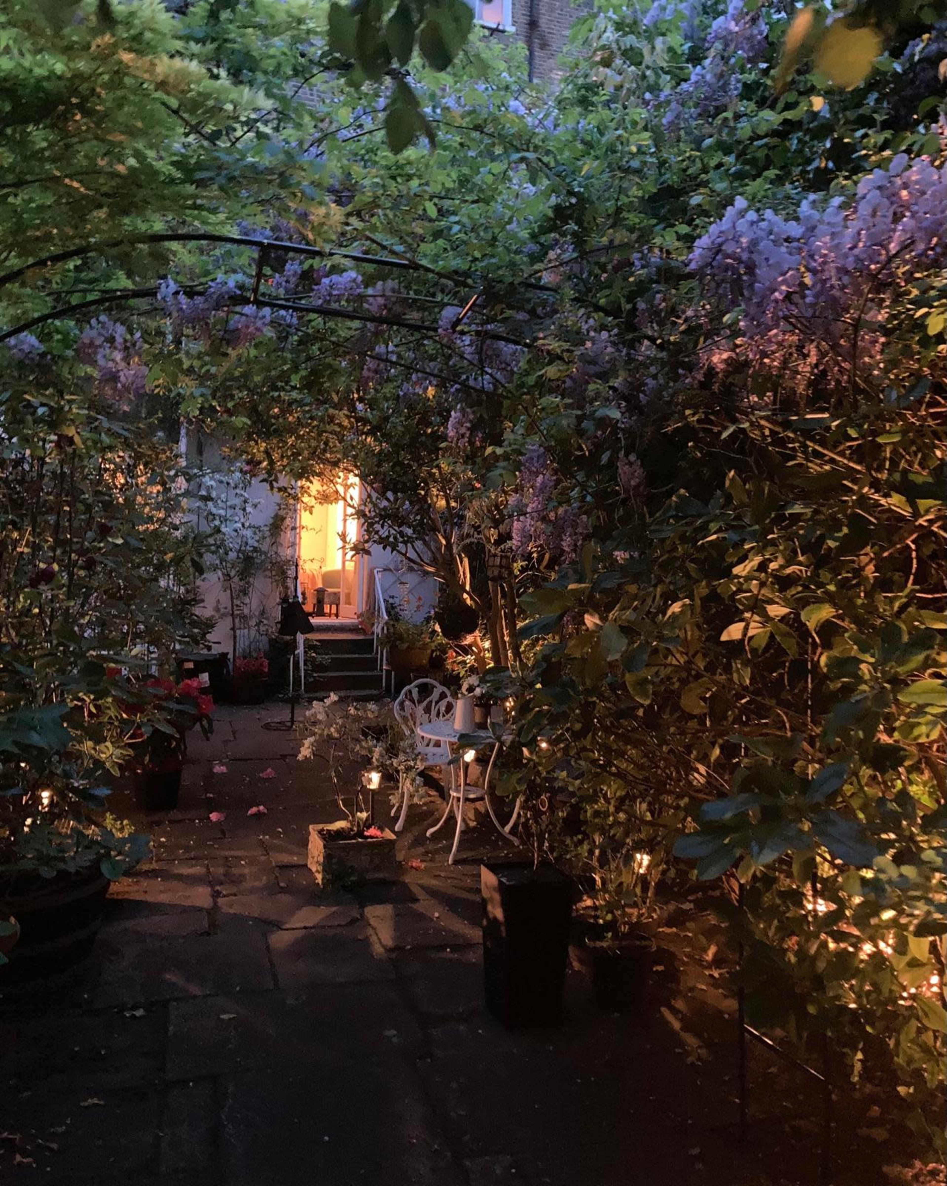 A stone pathway leads through a garden archway adorned with blooming wisteria, illuminated by soft lights and the glow from a doorway at the far end.
