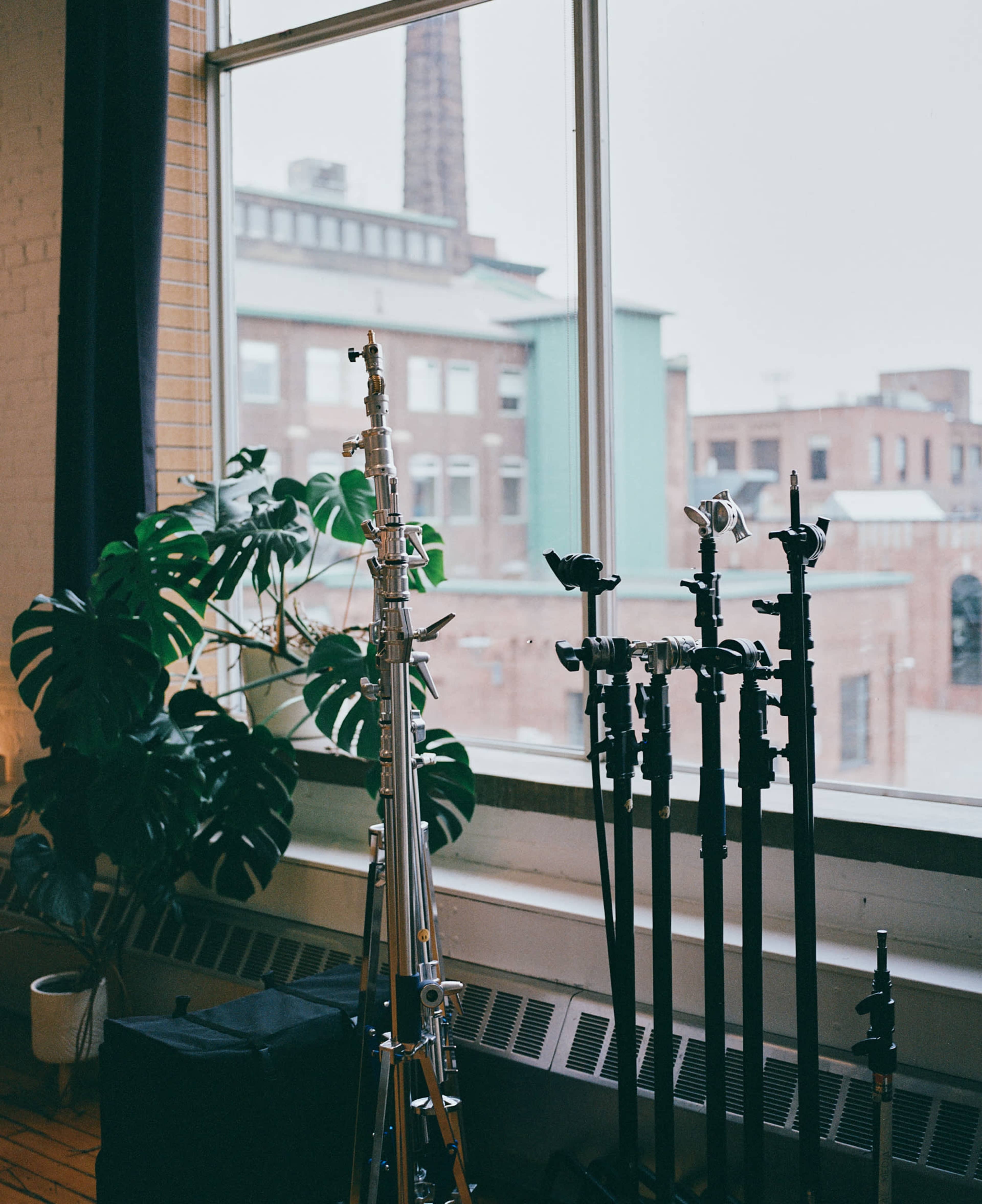 Light-Filled and Spacious Loft in Liberty Village Image in Liberty Village, Toronto, ON