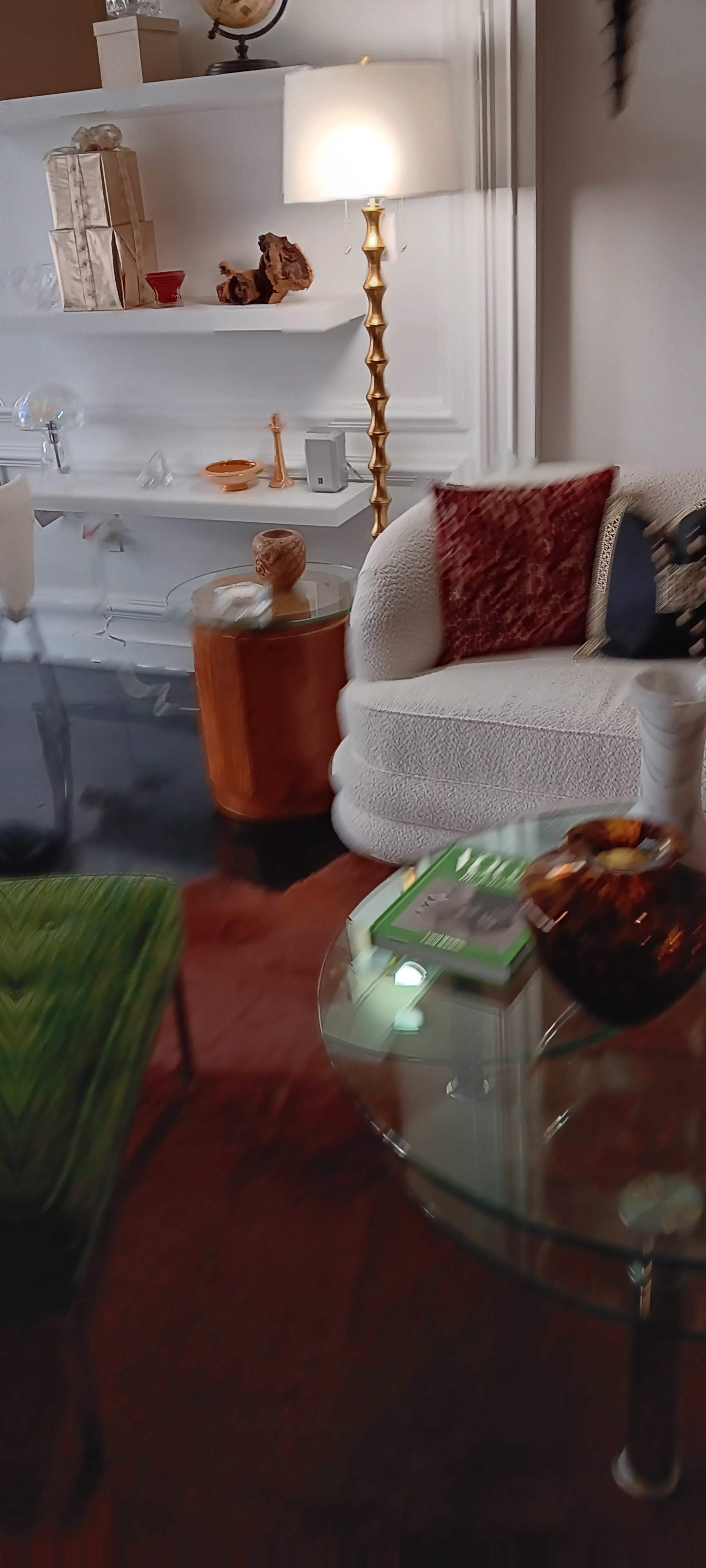The image shows a living room with a white couch, a glass coffee table, a green fuzzy chair, and decorative items on a shelf in the background.