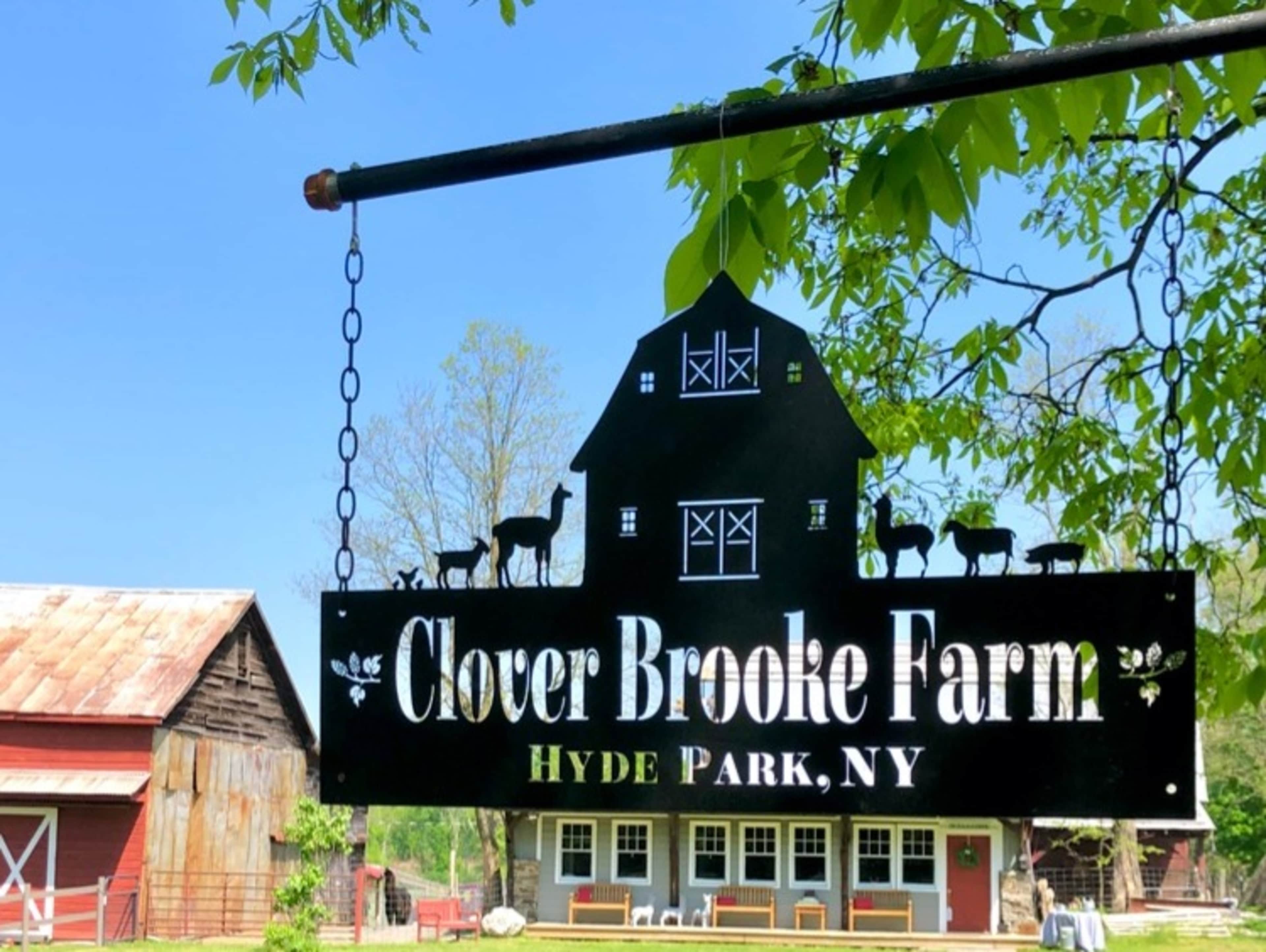 Farm Sampler at Clover Brooke Farm