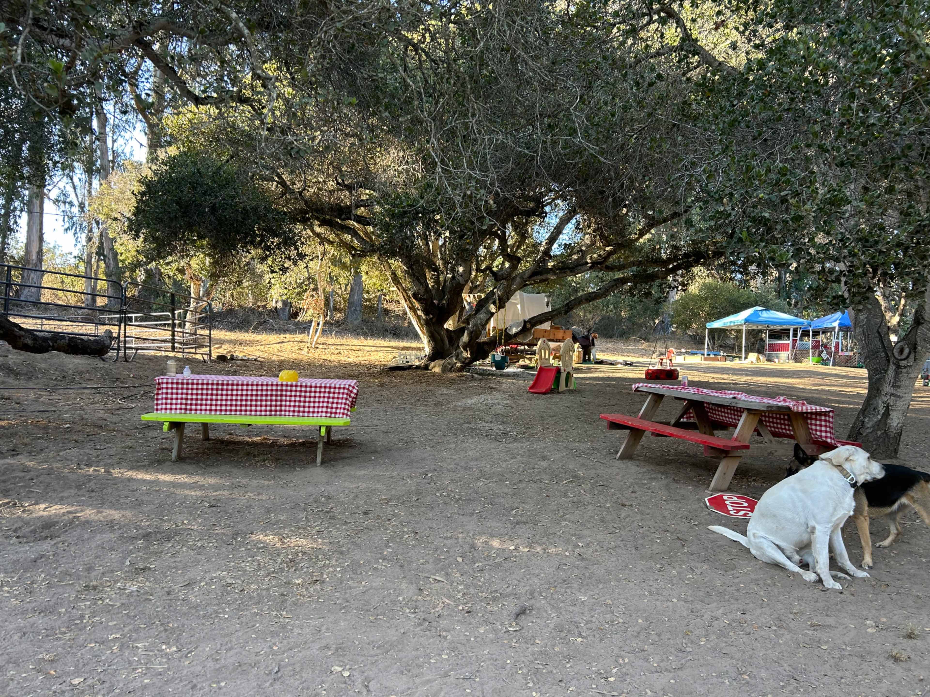 Private Ranch Picnic Space with Farm Animals Image in Prunedale, Salinas, CA