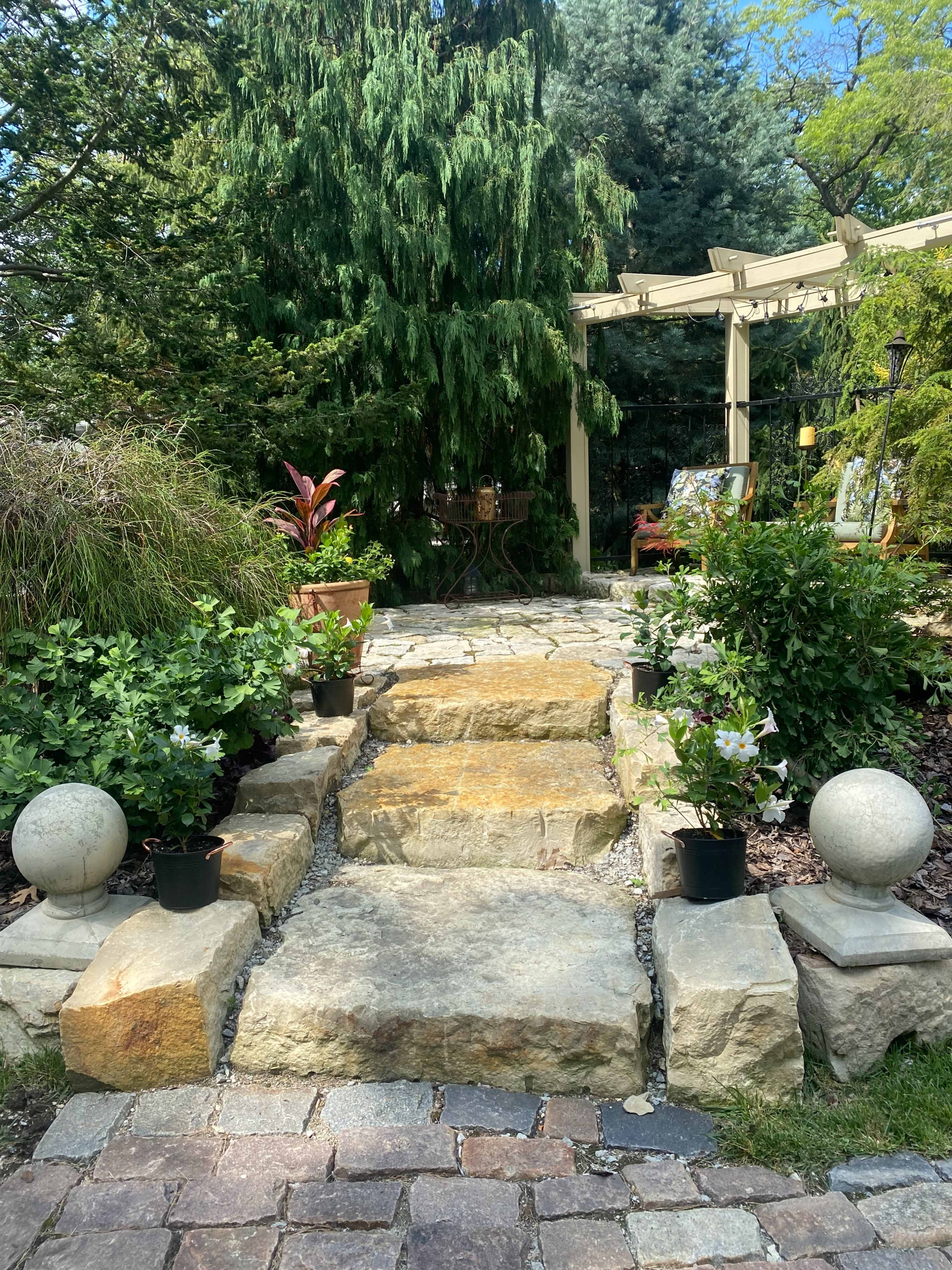 A stone pathway leading up to a wooden pergola surrounded by various potted plants and greenery.