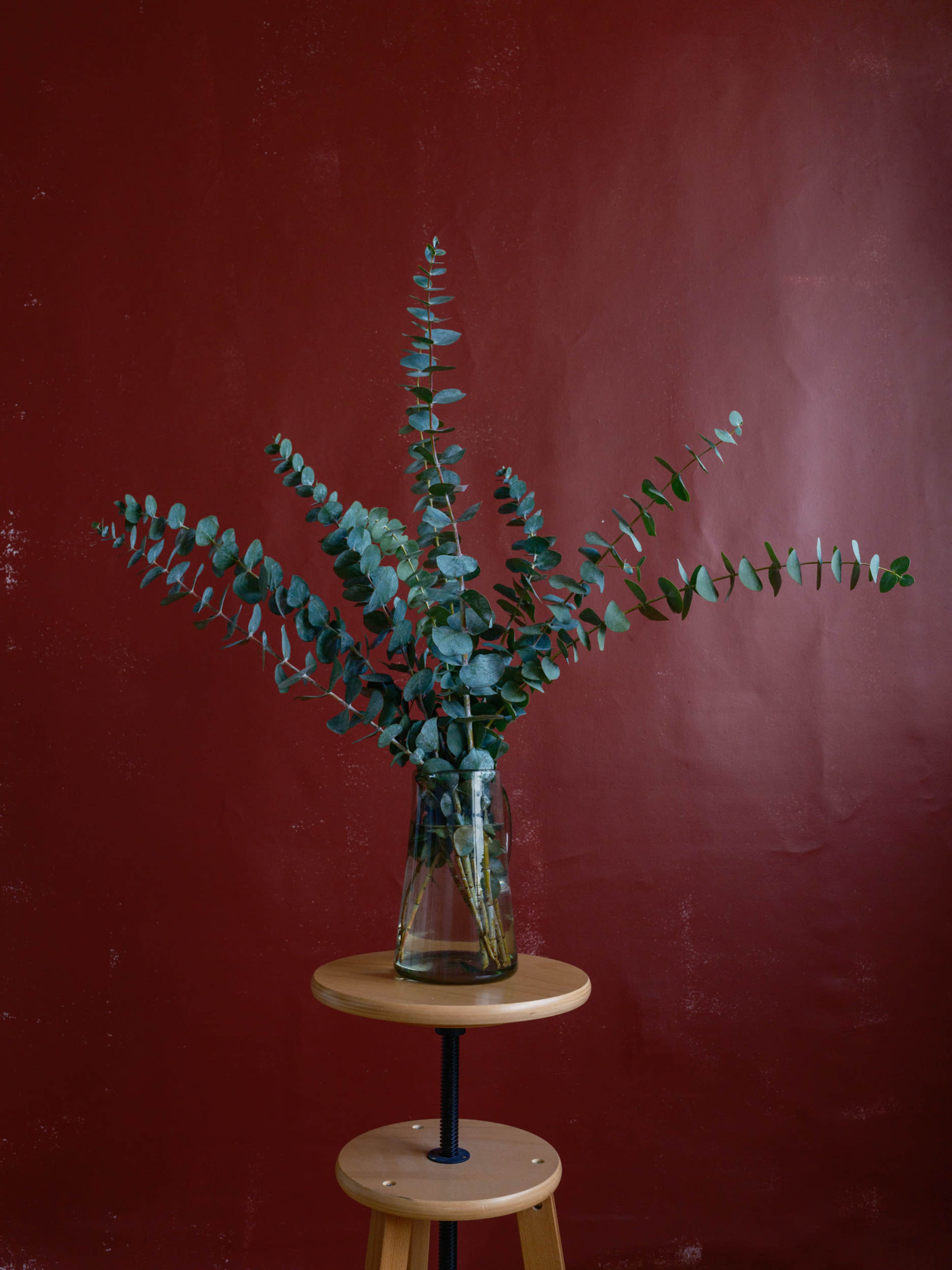 A glass vase filled with eucalyptus branches sits atop a wooden stool against a red backdrop.