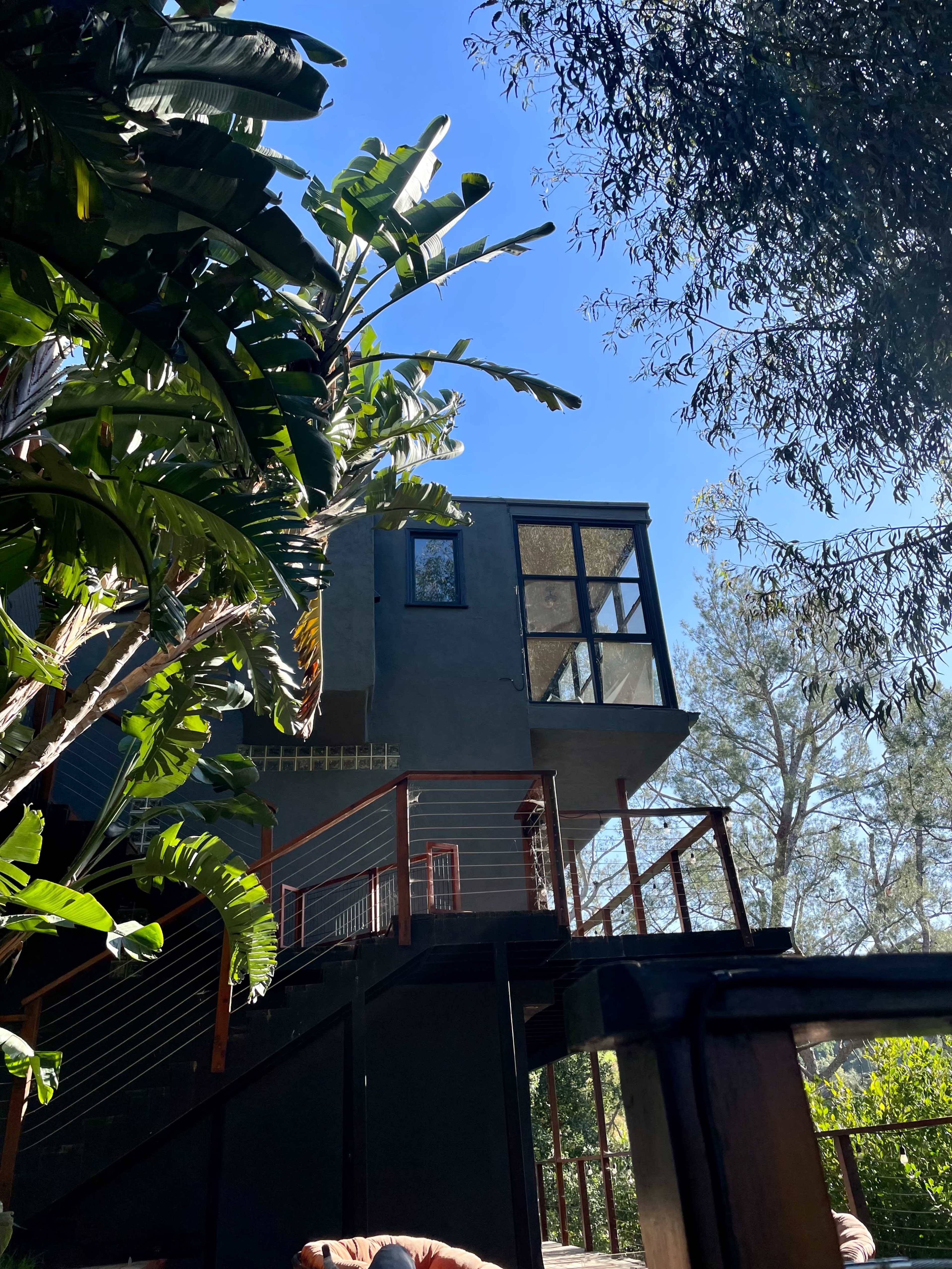 A modern house with large windows is positioned above a wooden deck and surrounded by tropical plants against a clear blue sky.
