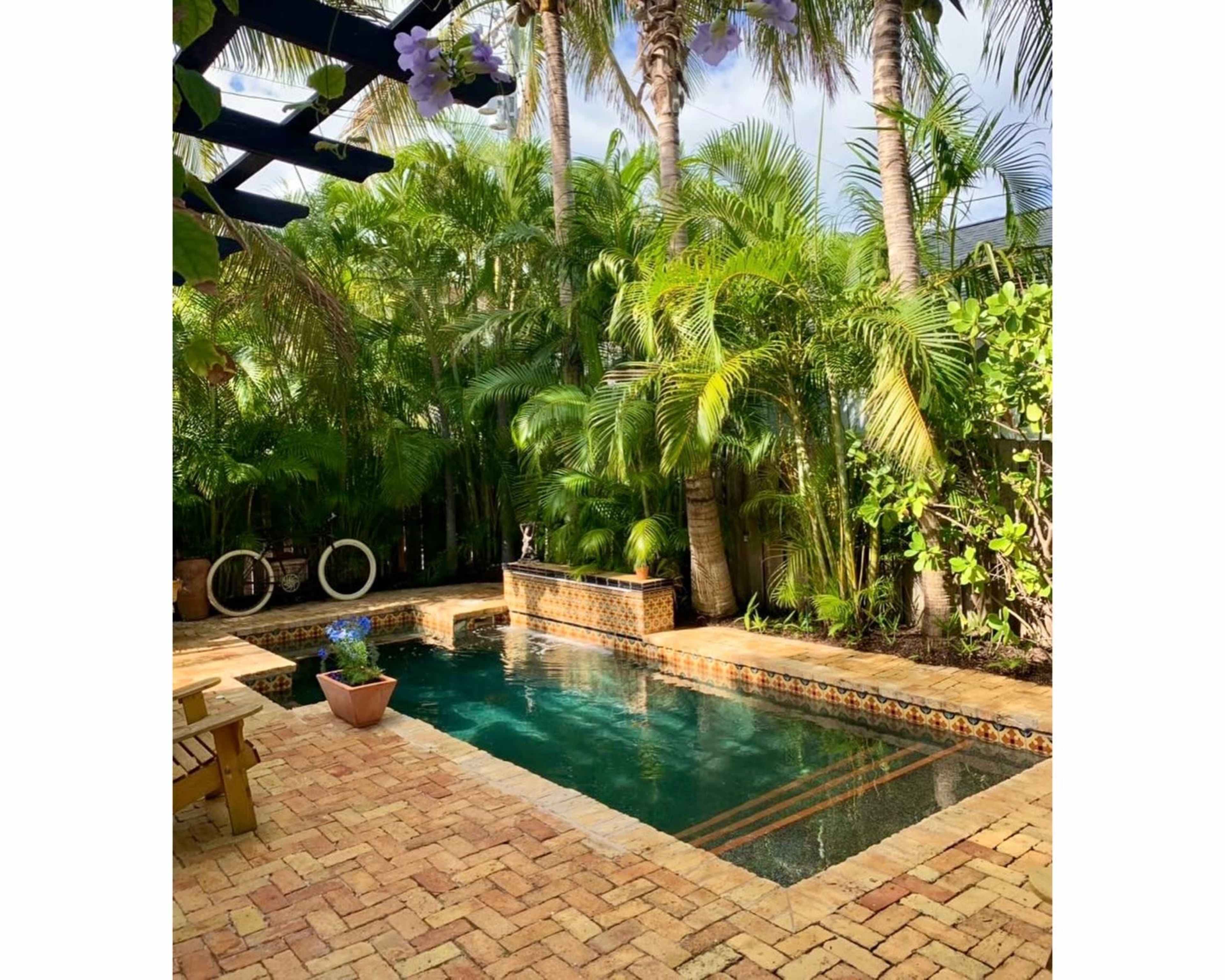 A small, rectangular swimming pool surrounded by lush tropical plants and a brick patio.