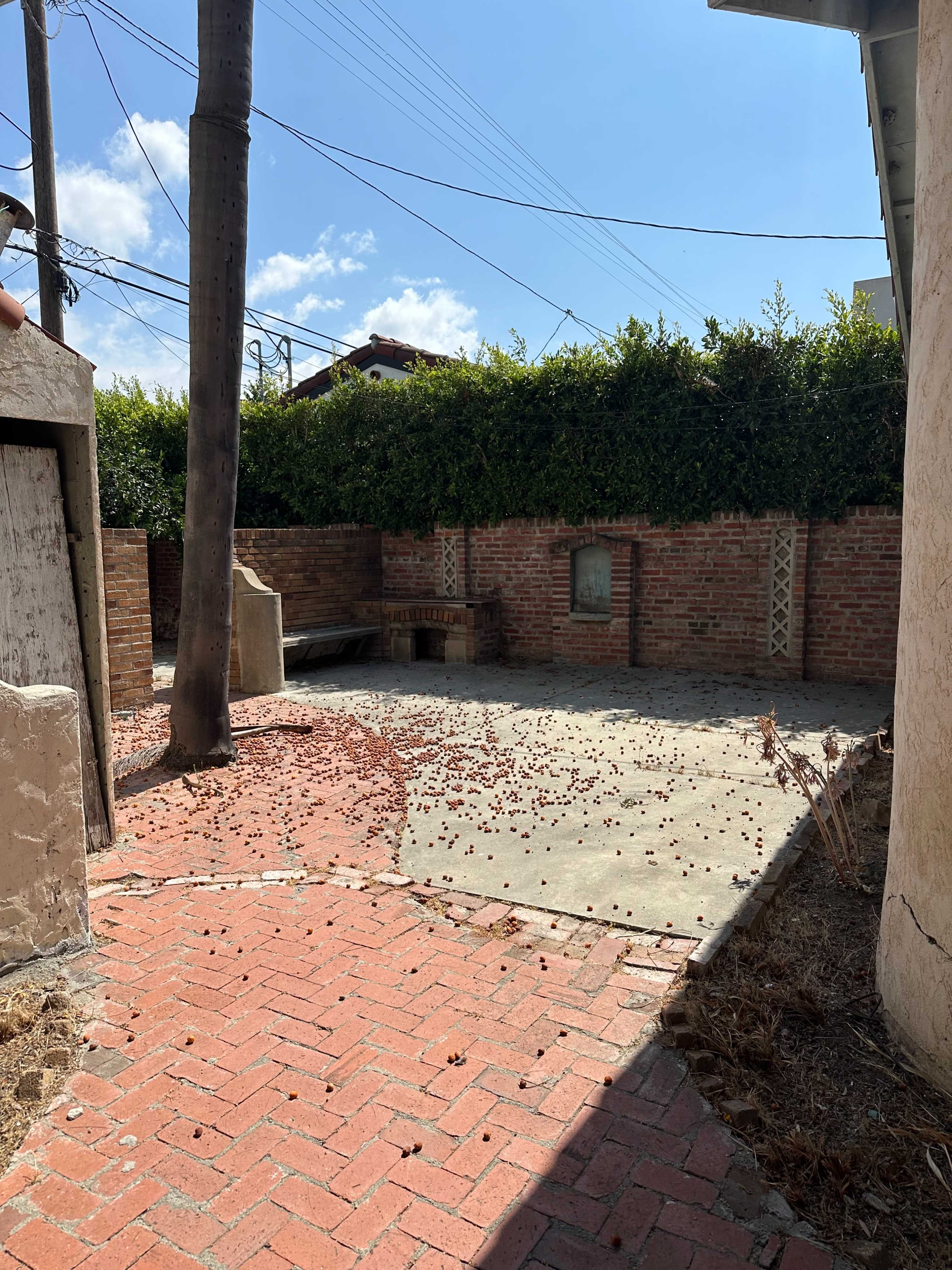 Quiet Neighborhood Spanish Fixer Upper with backyard patio Image in Mar Vista, Los Angeles, CA
