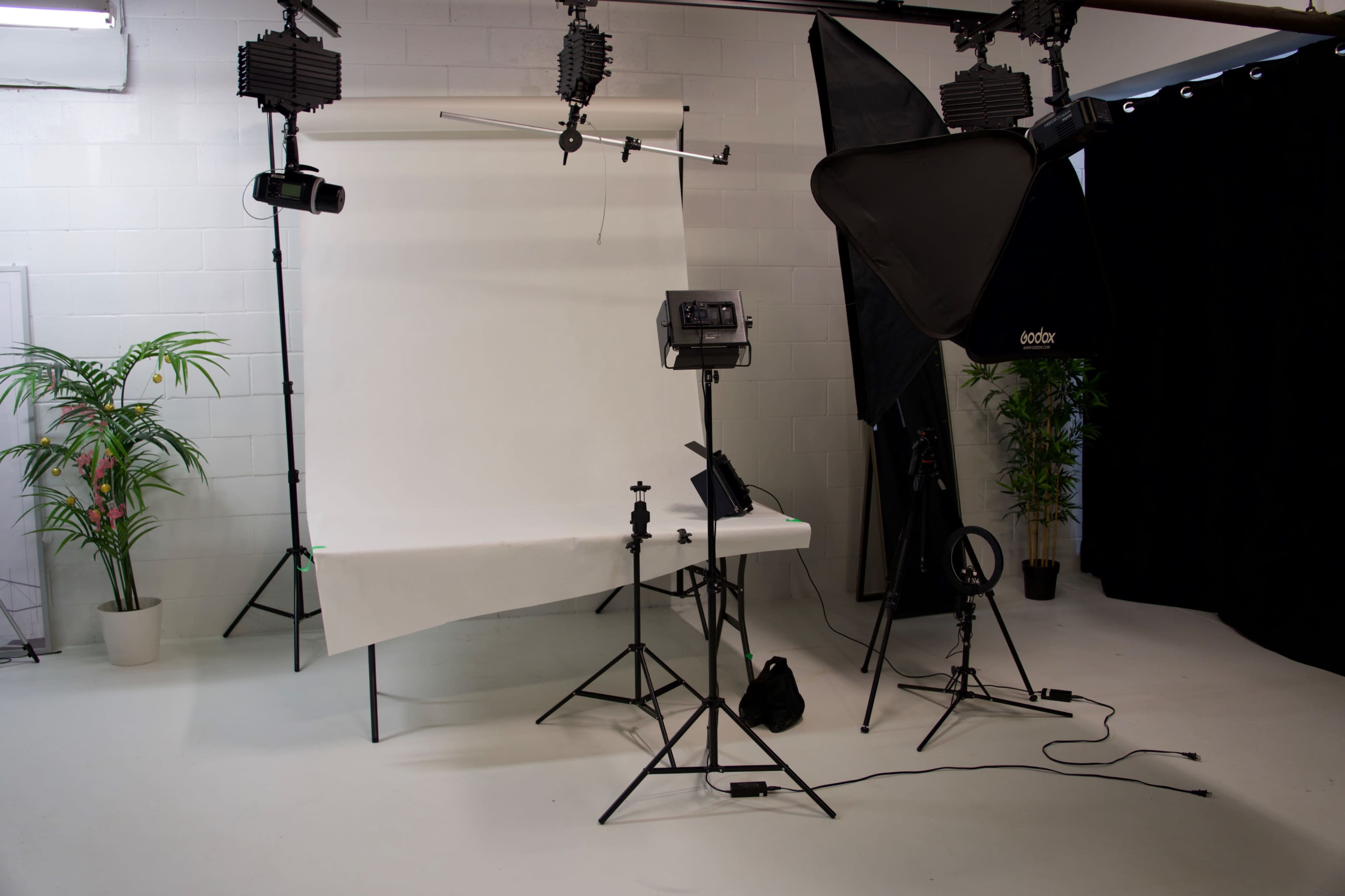 The image shows a photography studio setup with a white backdrop, lighting equipment, and a few plants in the corners.