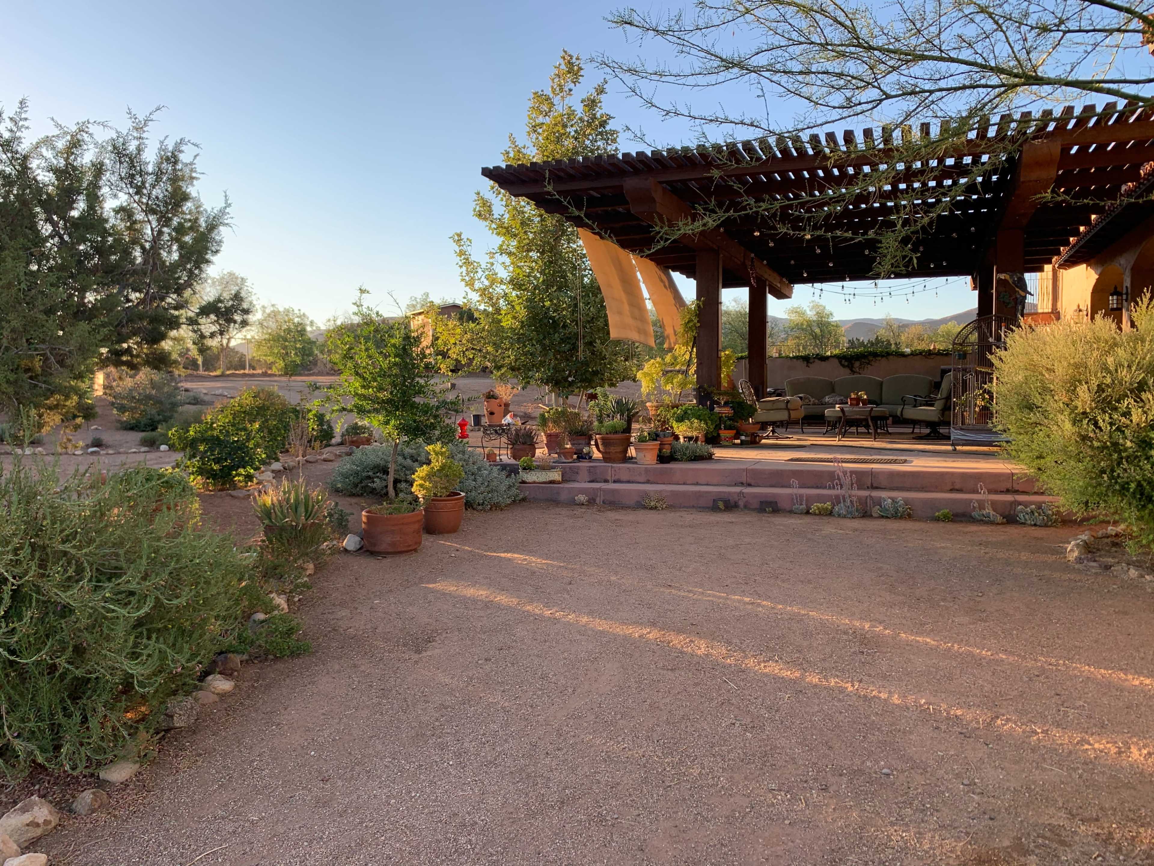A gravel path leads to a shaded porch surrounded by various potted plants and trees.