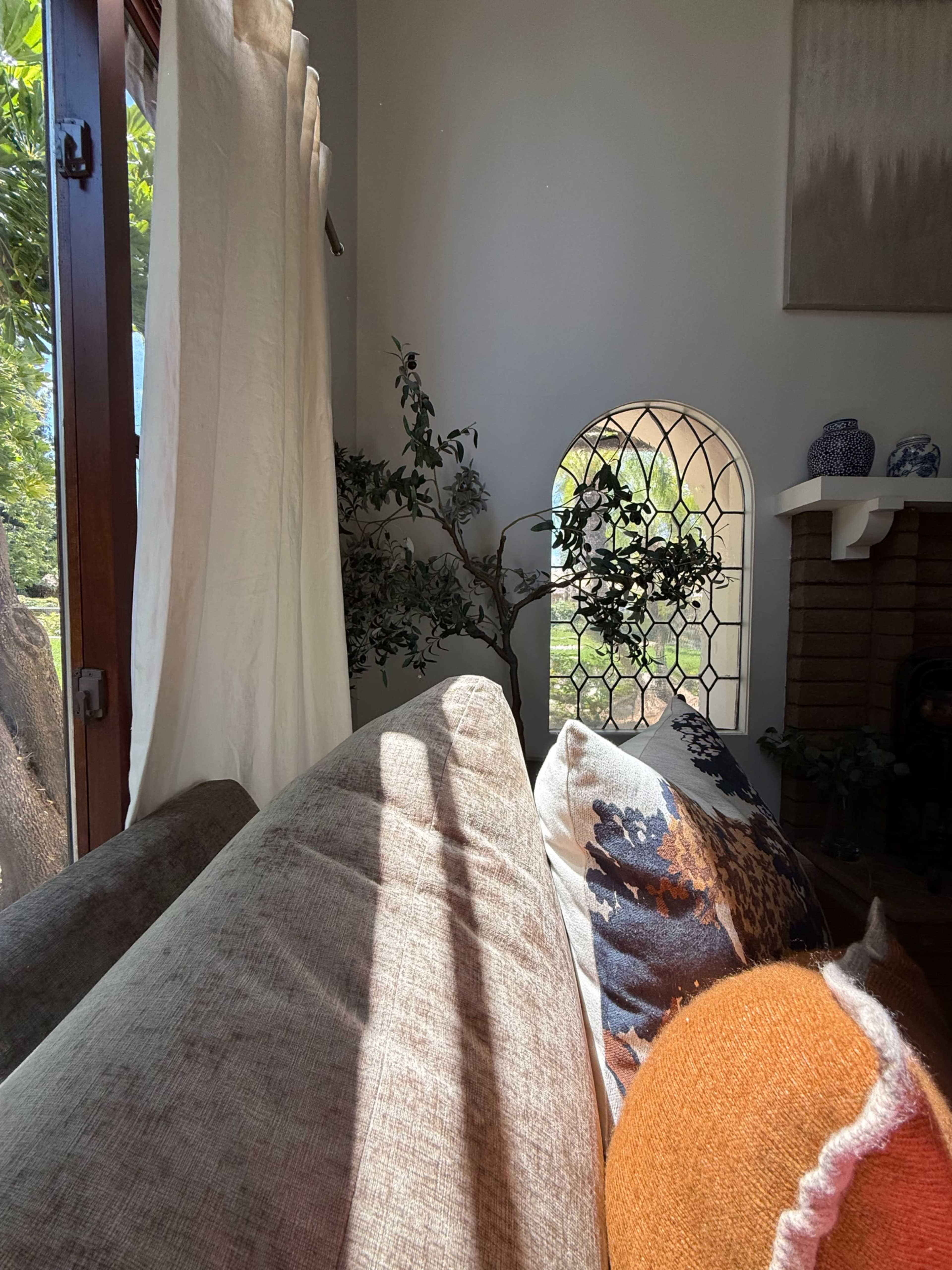 A sunlit living room features a brown couch with decorative pillows, a window with an arched design, and greenery visible outside.