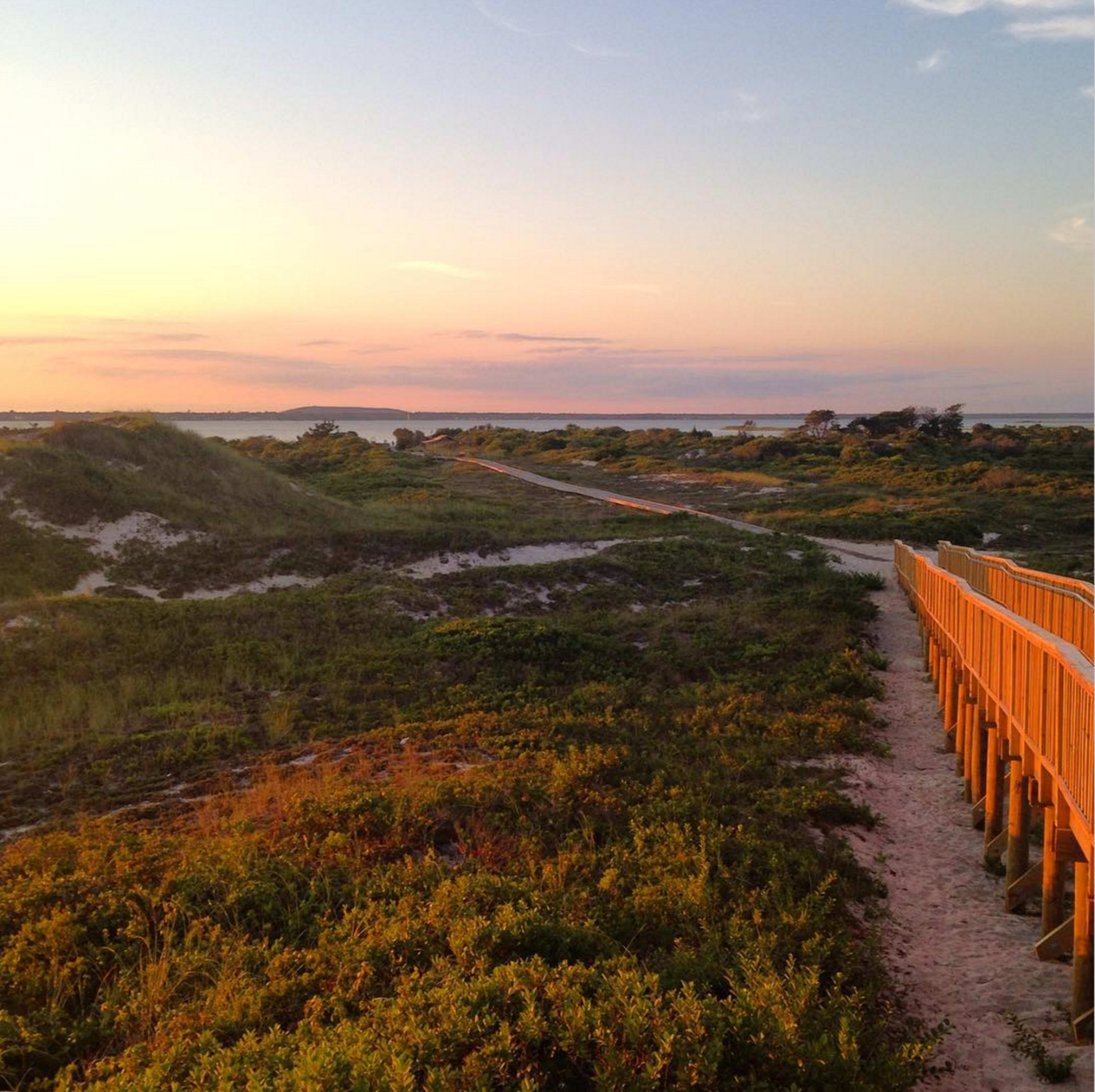 A wooden walkway leads through sand dunes to a beach at sunset.