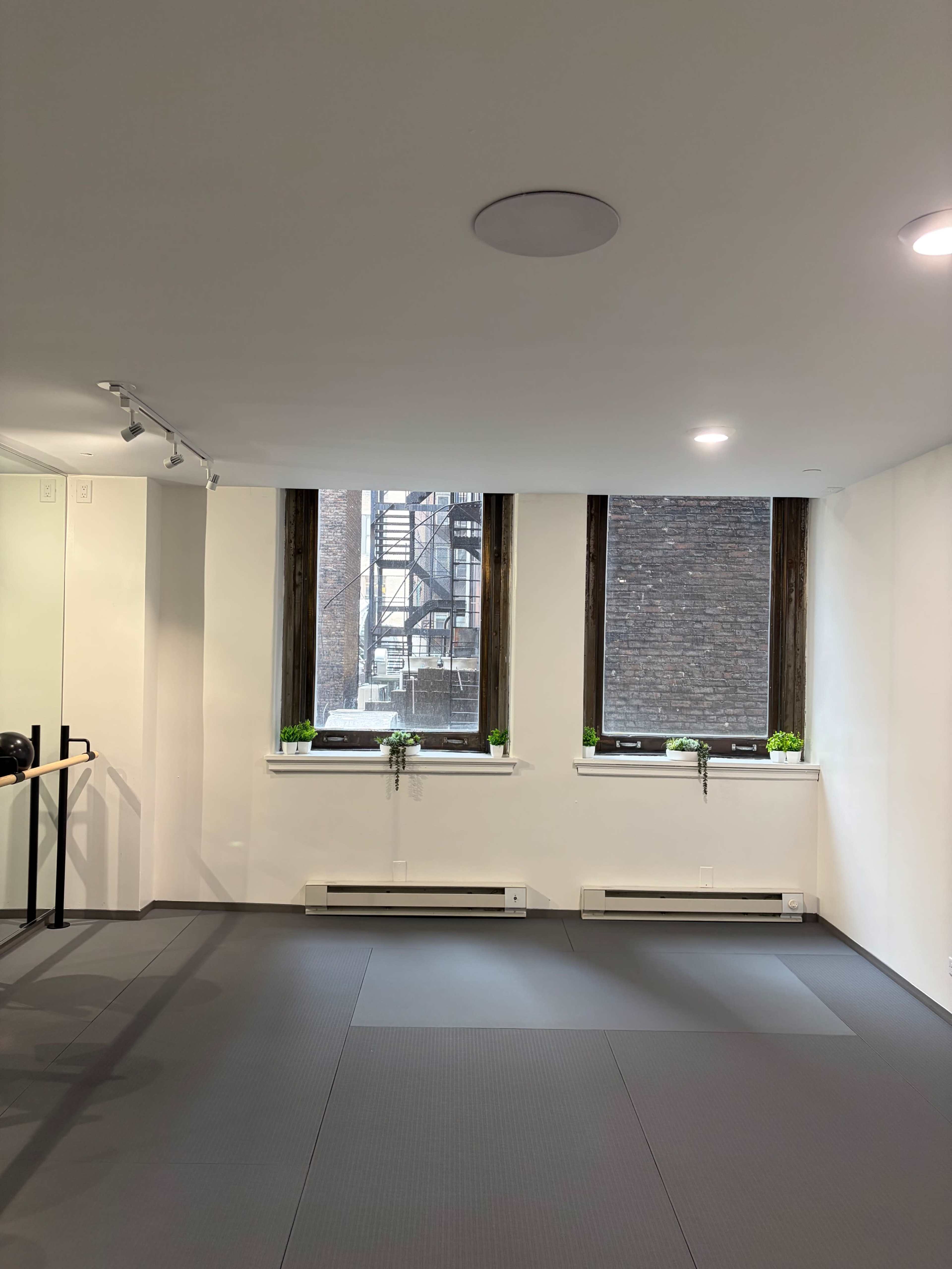 The image shows a minimalistic gym space with gray flooring, three windows featuring small green plants on the sills, and an exposed fire escape outside.