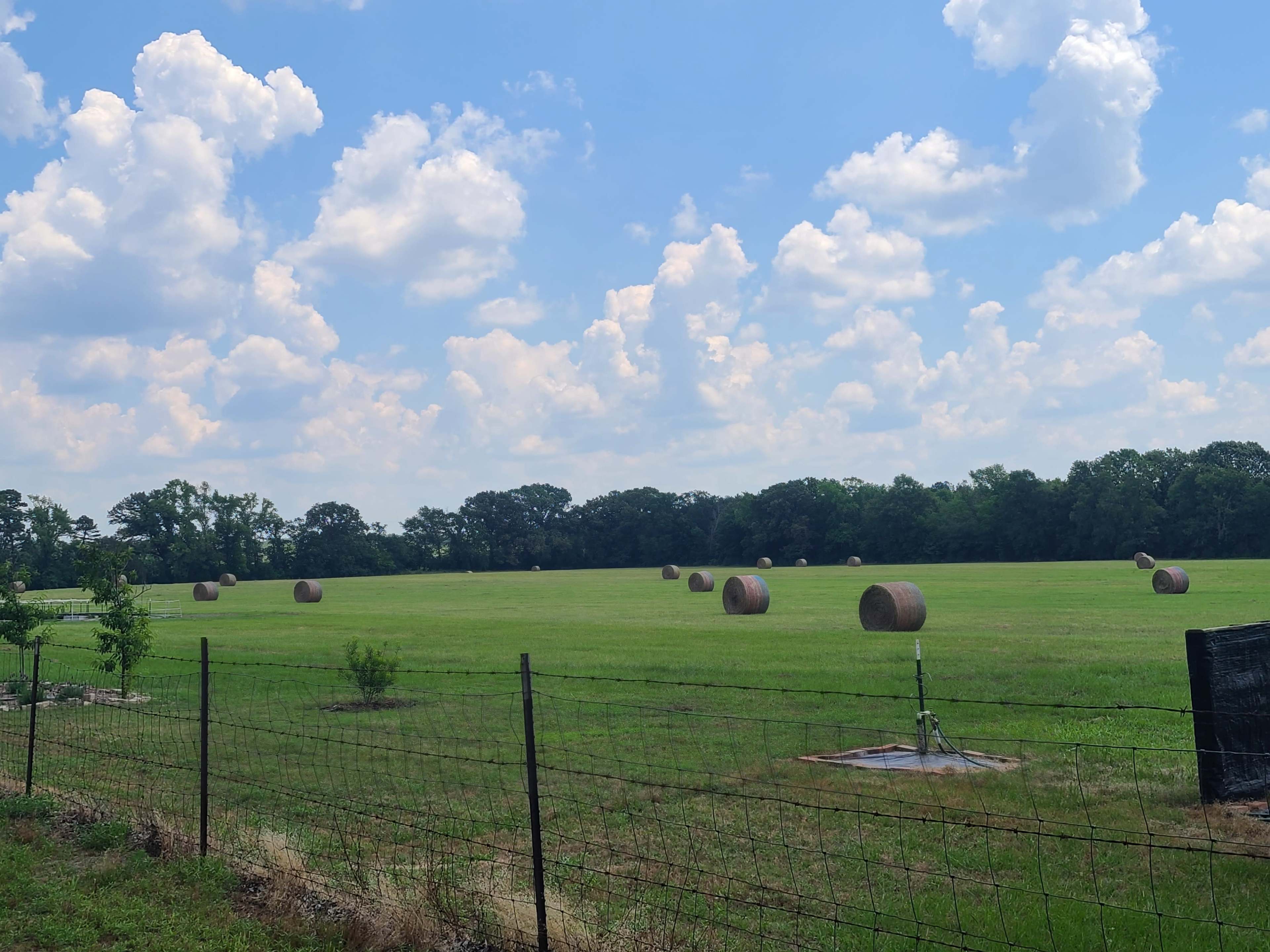 A green field with several hay bales scattered across it is enclosed by a wire fence under a partly cloudy sky.