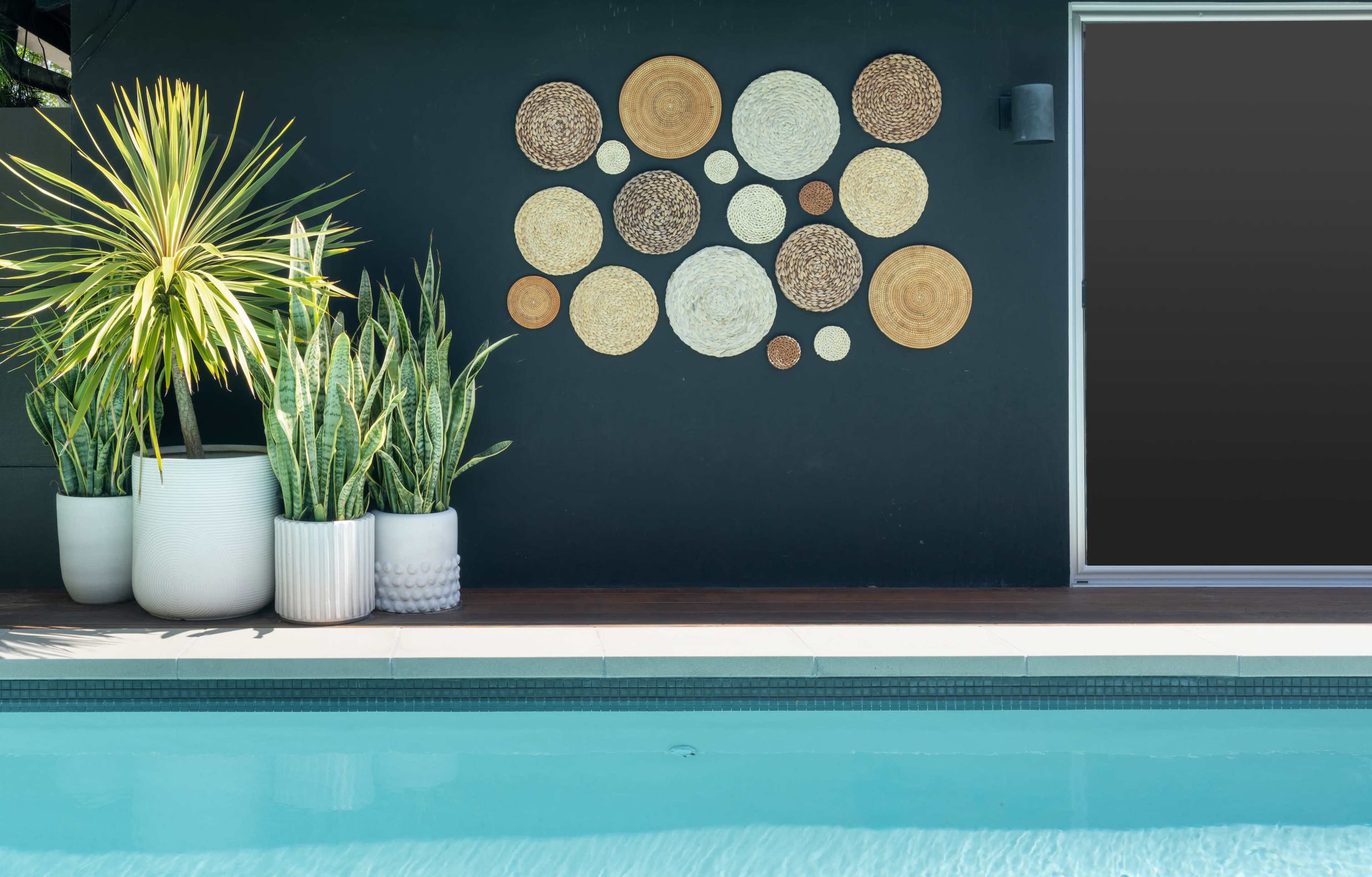 A poolside scene featuring circular wall decor made of various natural materials against a dark wall, with potted plants nearby.