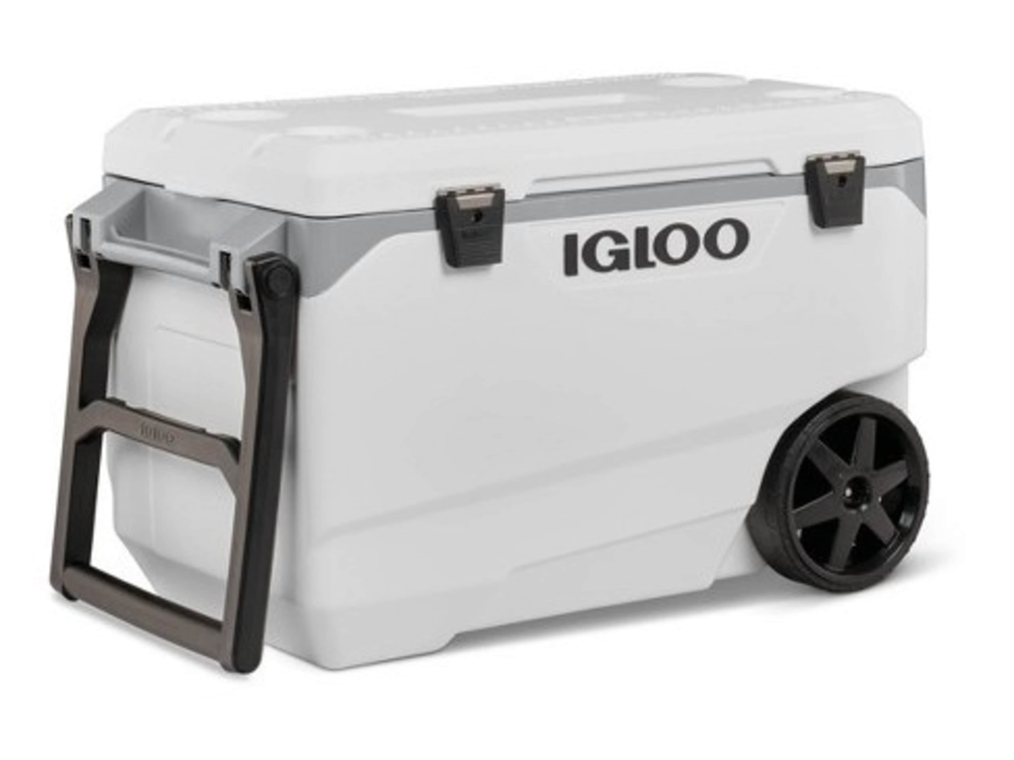 Igoo Cooler