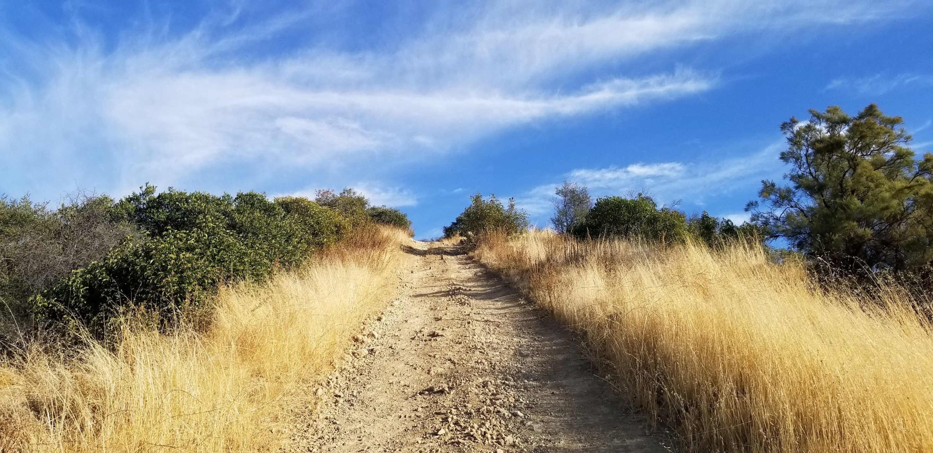 A dirt path leads up a hill surrounded by dry grass and patches of shrubbery under a blue sky with wispy clouds.