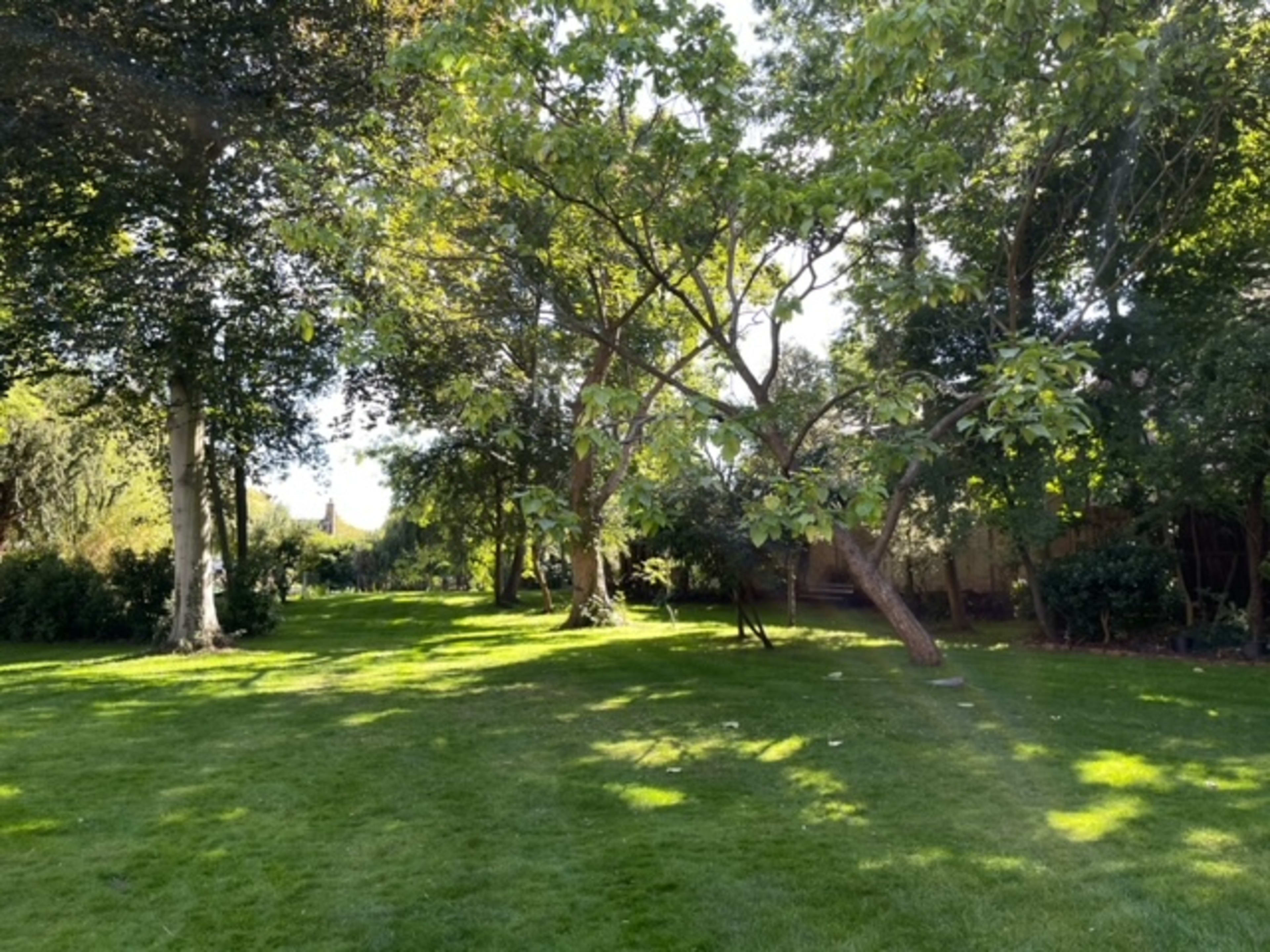 A sunlit garden with lush green grass and several trees scattered throughout.