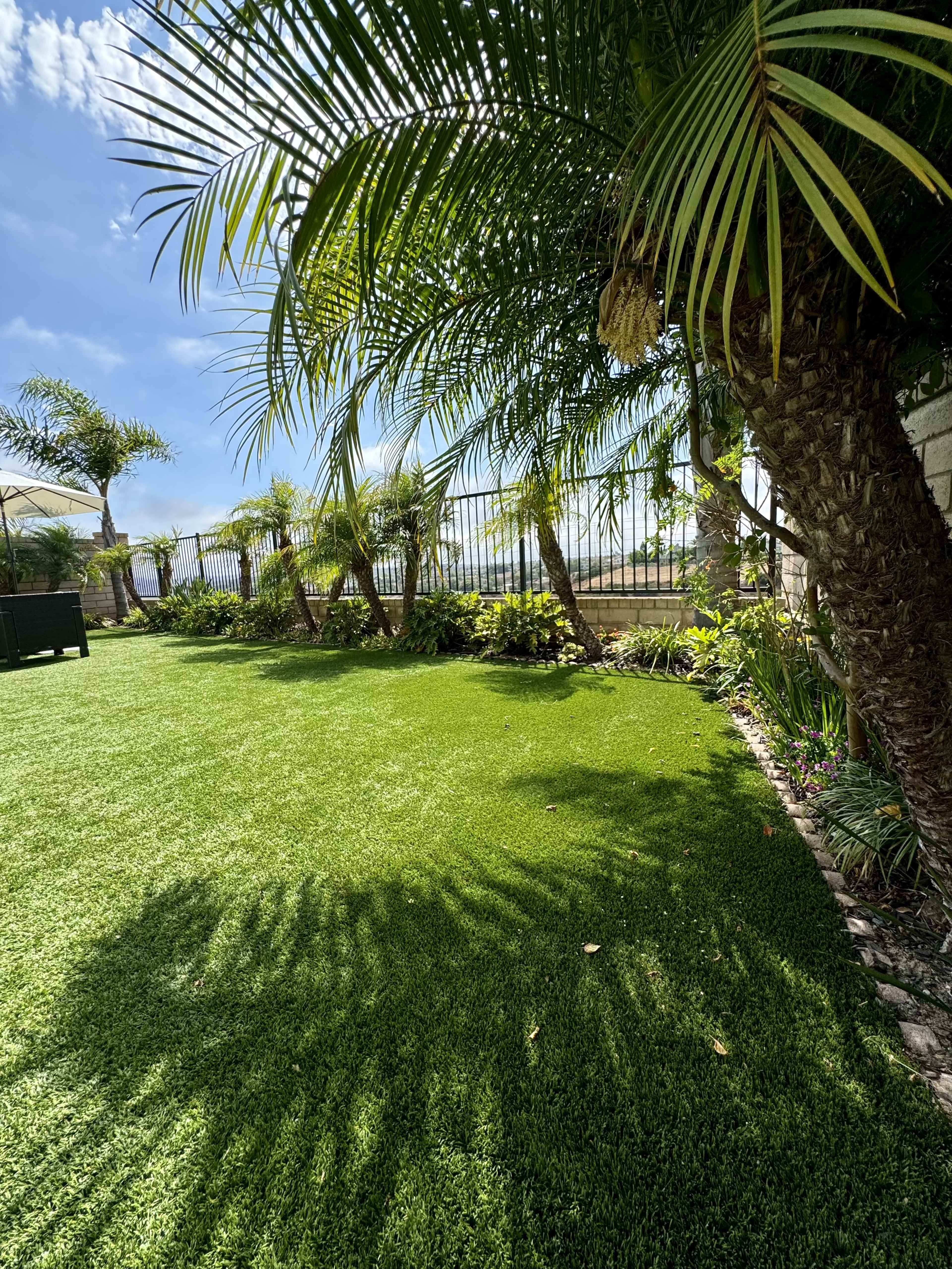 The image shows a well-maintained green lawn with ornamental plants and palm trees, bordered by a fence under a clear blue sky.
