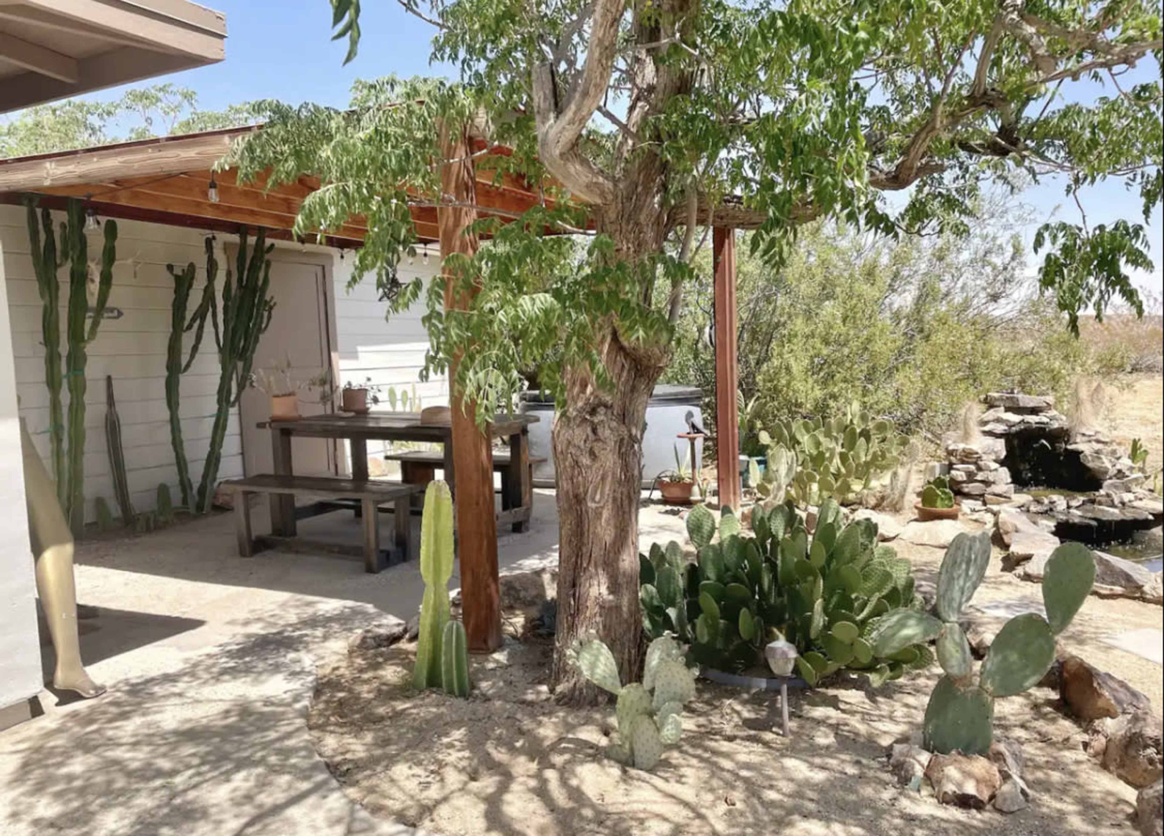 Vintage Desert Farmhouse Image in Joshua Tree, JOSHUA TREE, CA