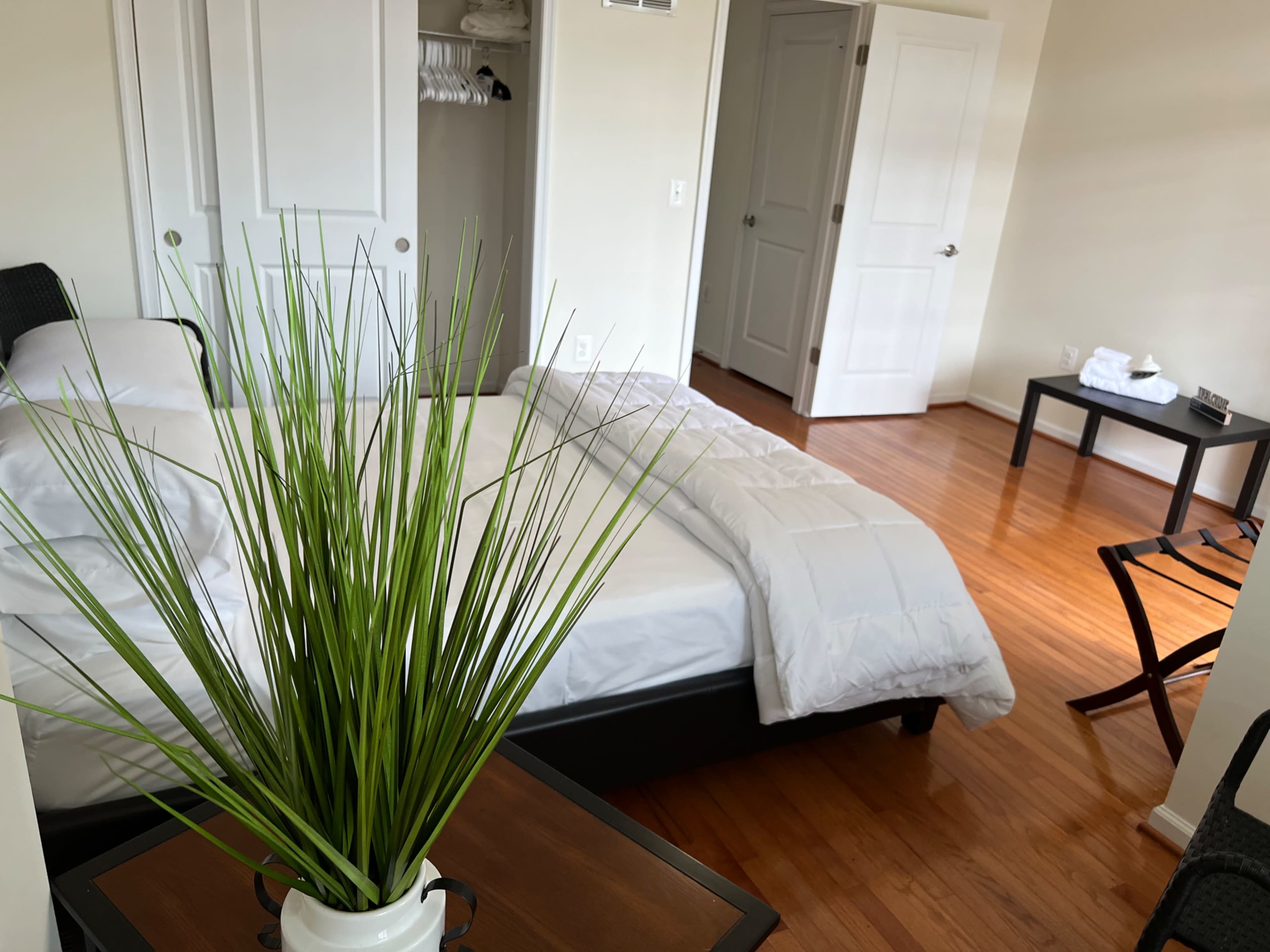 The image shows a simple bedroom with a bed, a green potted plant on a table, and a closet with open doors.