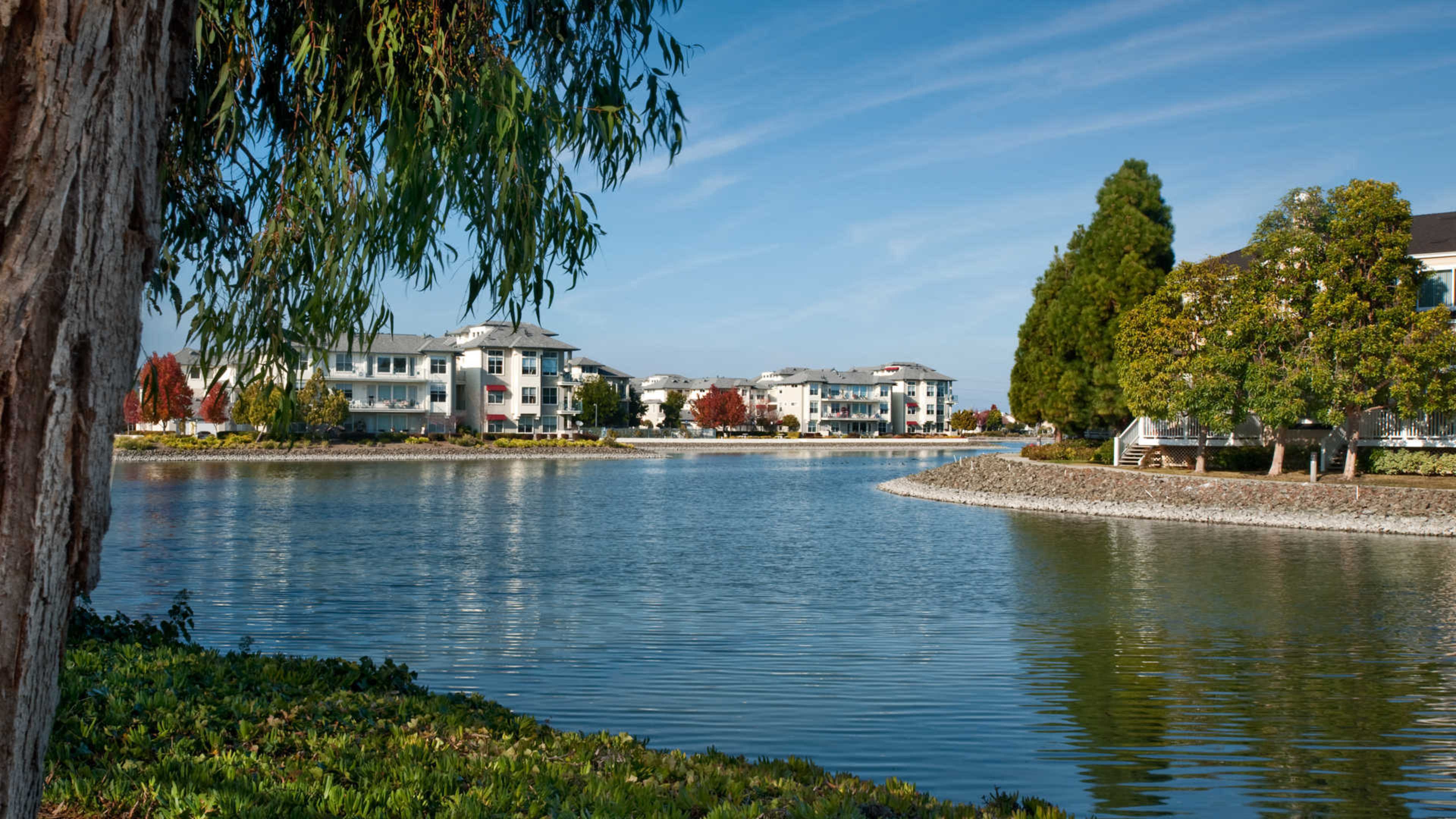 A calm waterfront scene with residential buildings along the shore, framed by trees and clear blue skies.