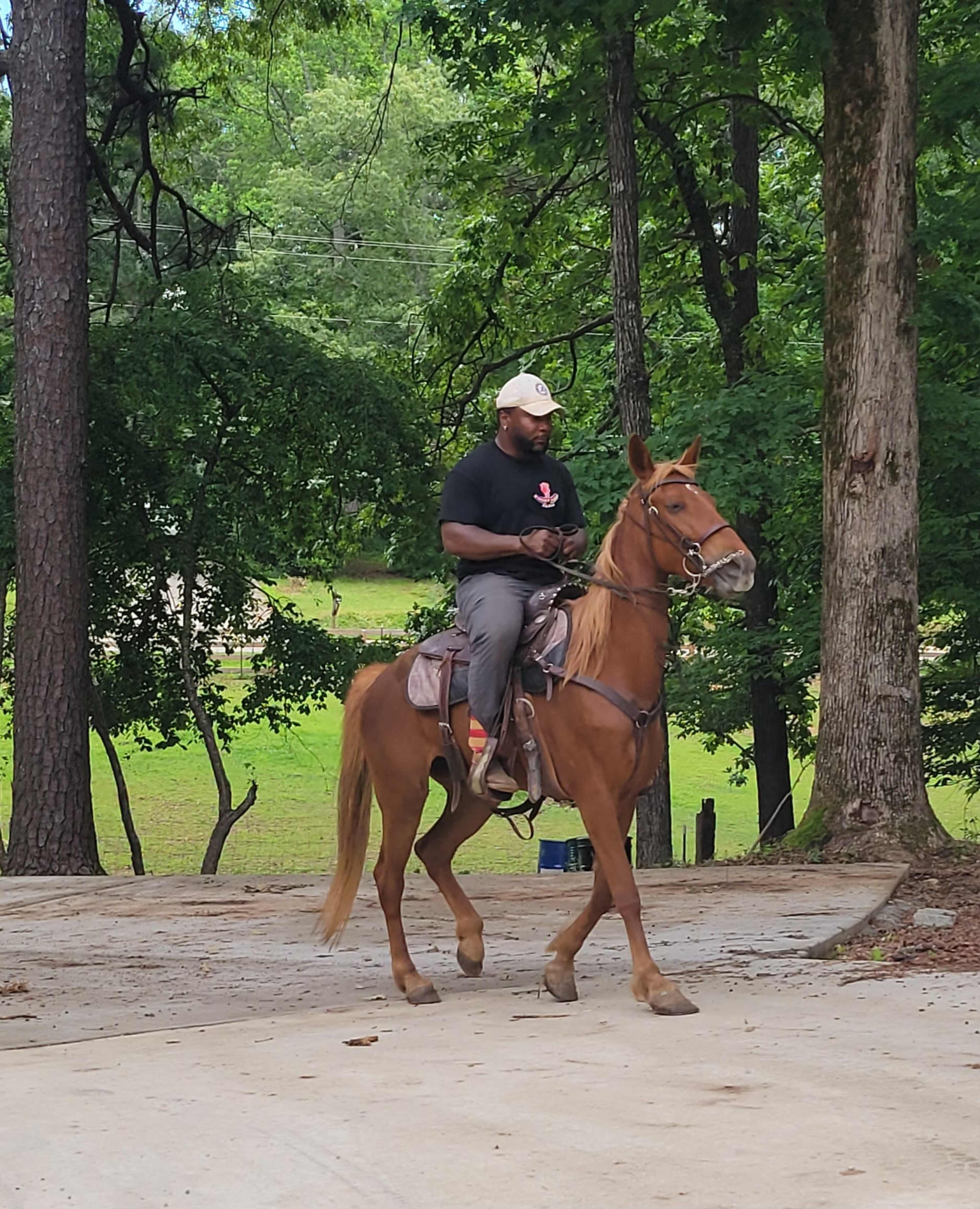 Sweet Rose Farms Horses, goats, and chickens Image in , Douglasville, GA