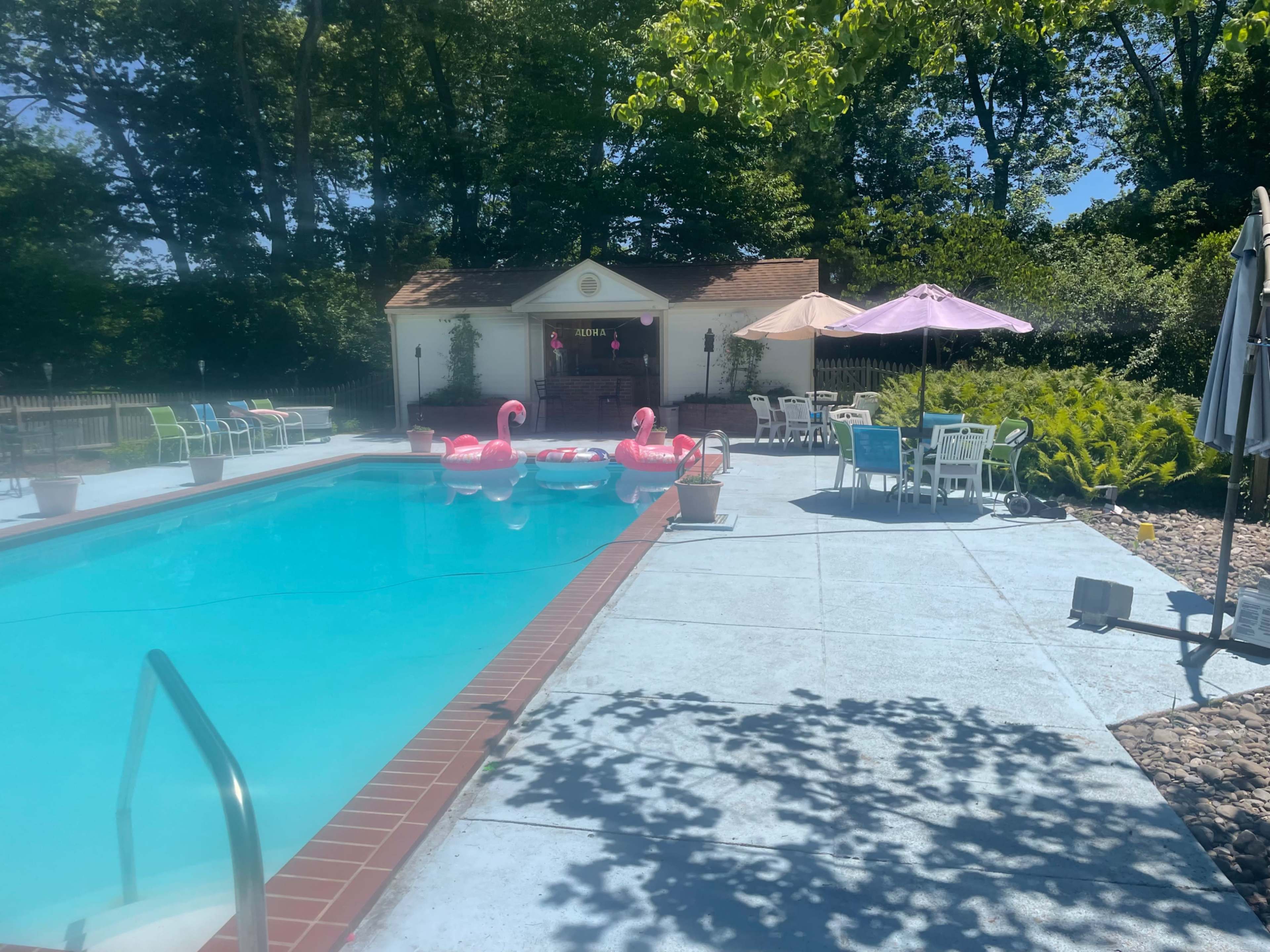 A swimming pool surrounded by colorful lounge chairs, pink flamingo floats, and a nearby gazebo with shaded tables.