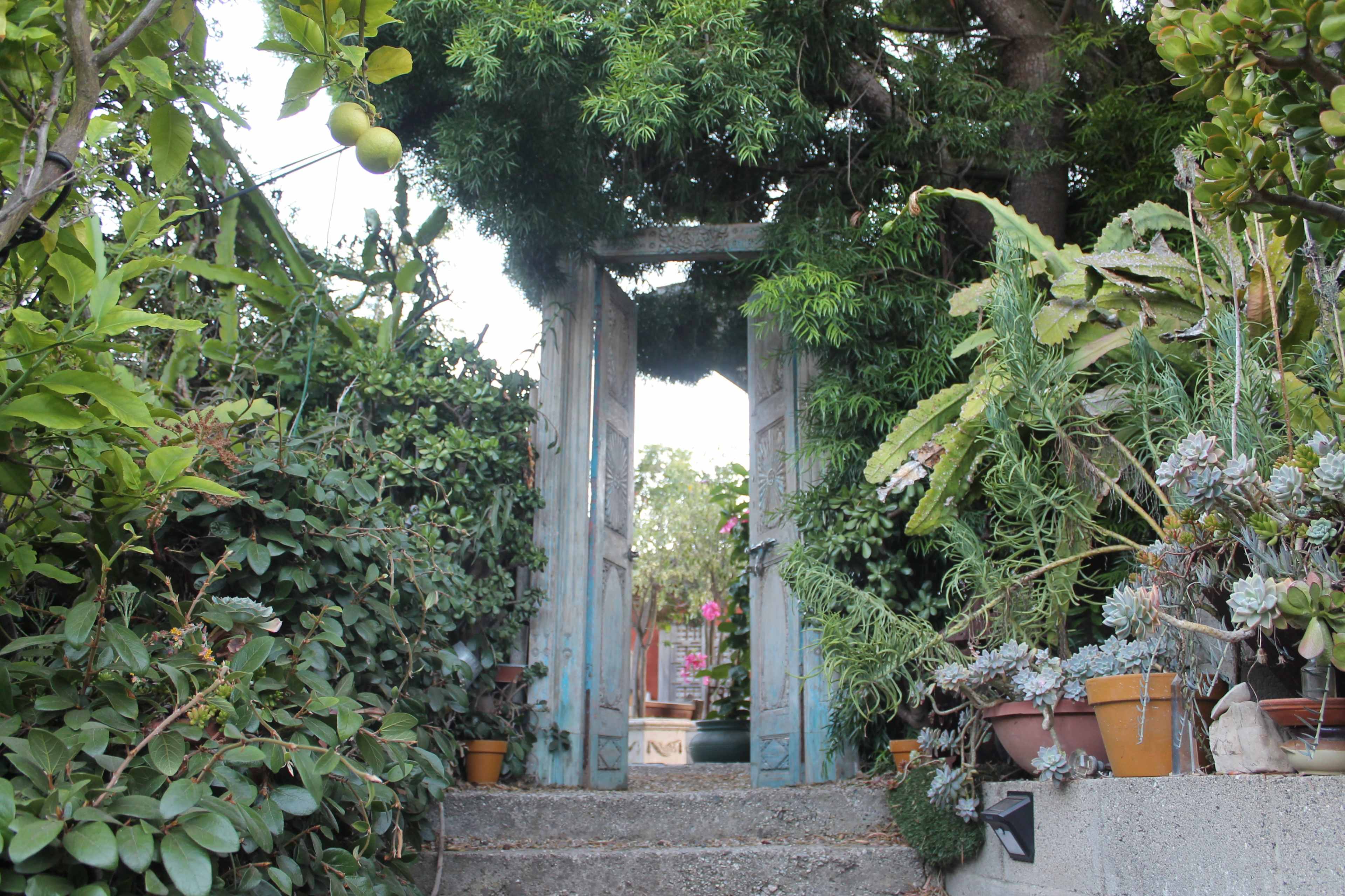 A weathered wooden gate stands open at the end of a stone pathway, surrounded by lush greenery and potted plants.