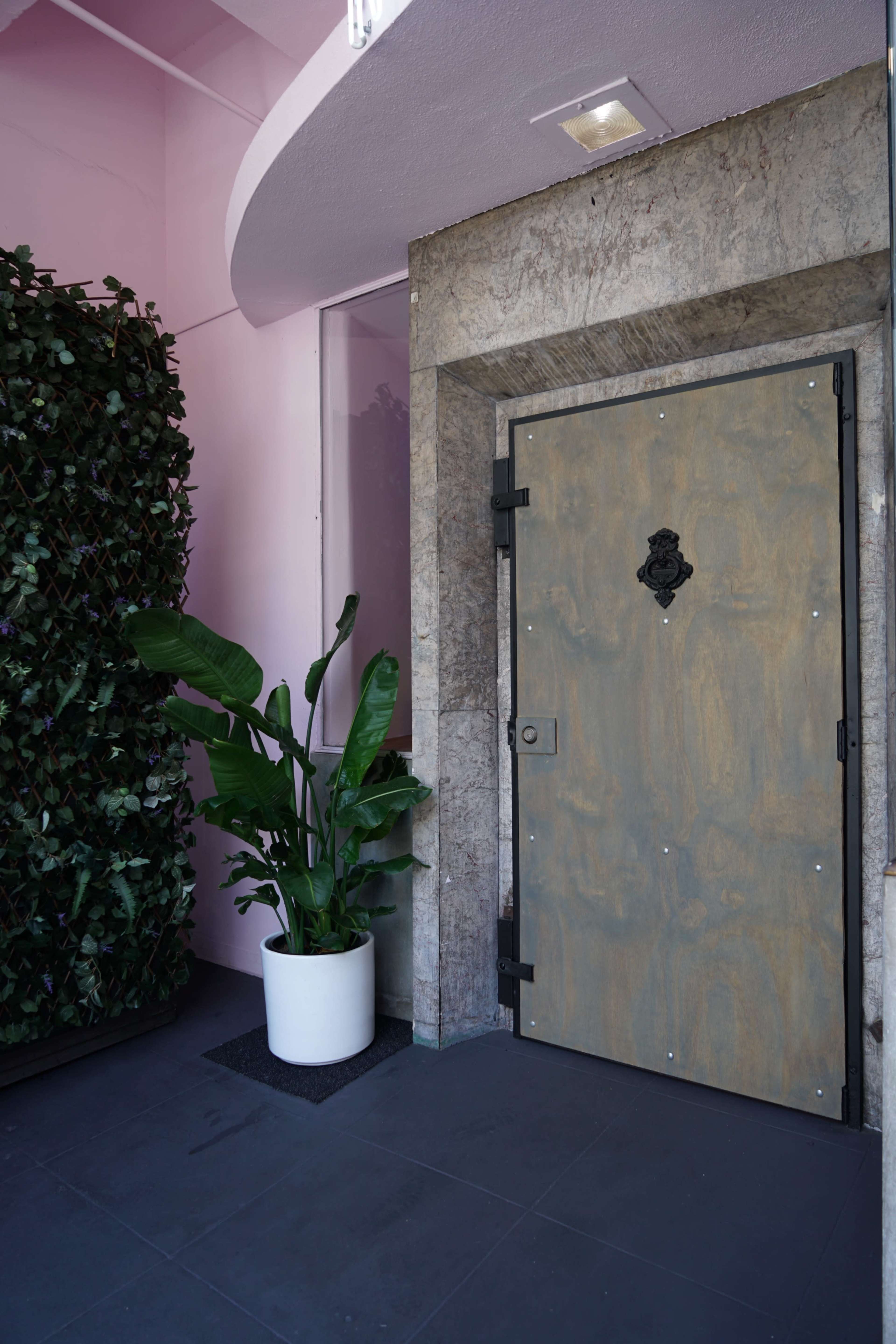 A large, secured door with a knocker stands in a stone alcove beside a potted plant and green foliage against a pink wall.