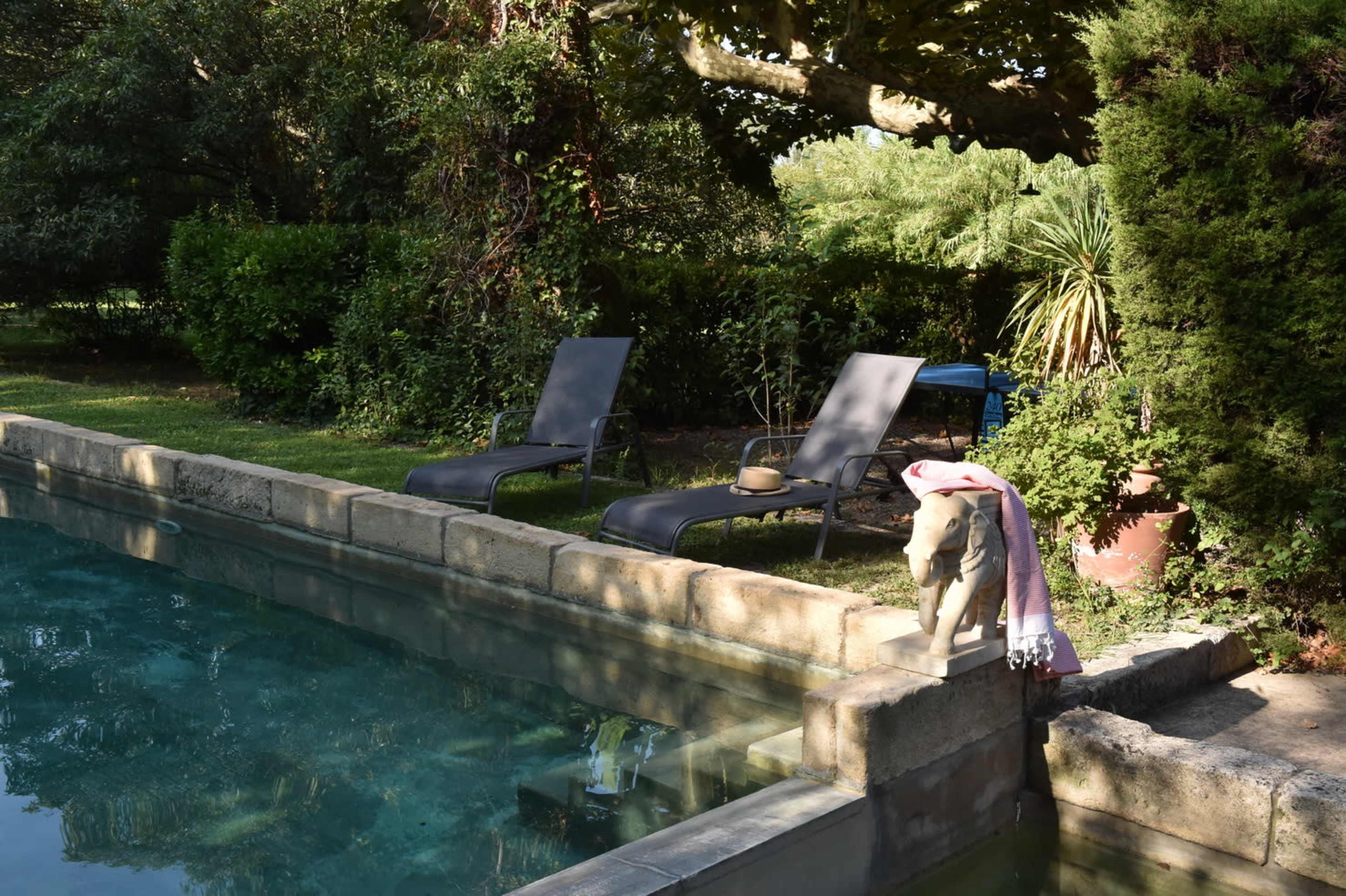 A dog stands on the edge of a stone-lined swimming pool beside two lounge chairs in a garden setting.