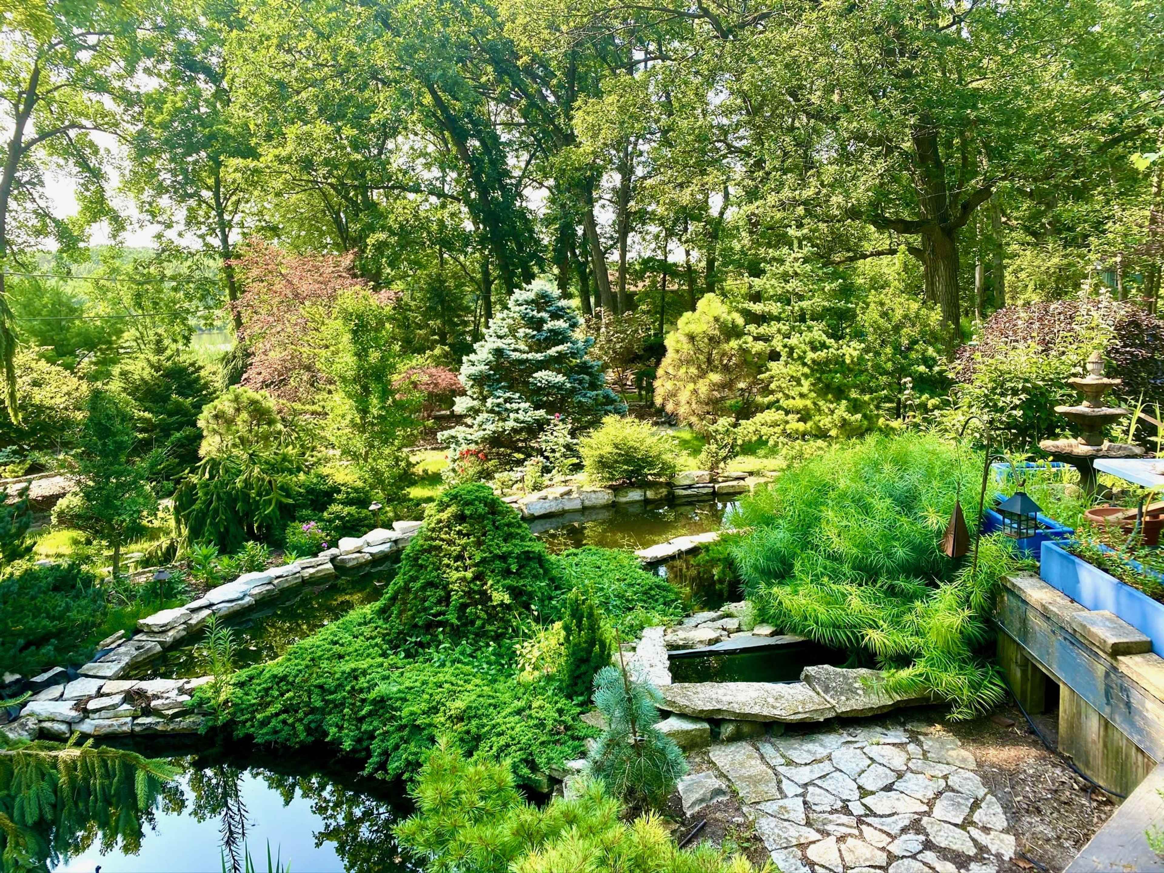 A lush garden featuring various plants, trees, and a pond surrounded by stone pathways.