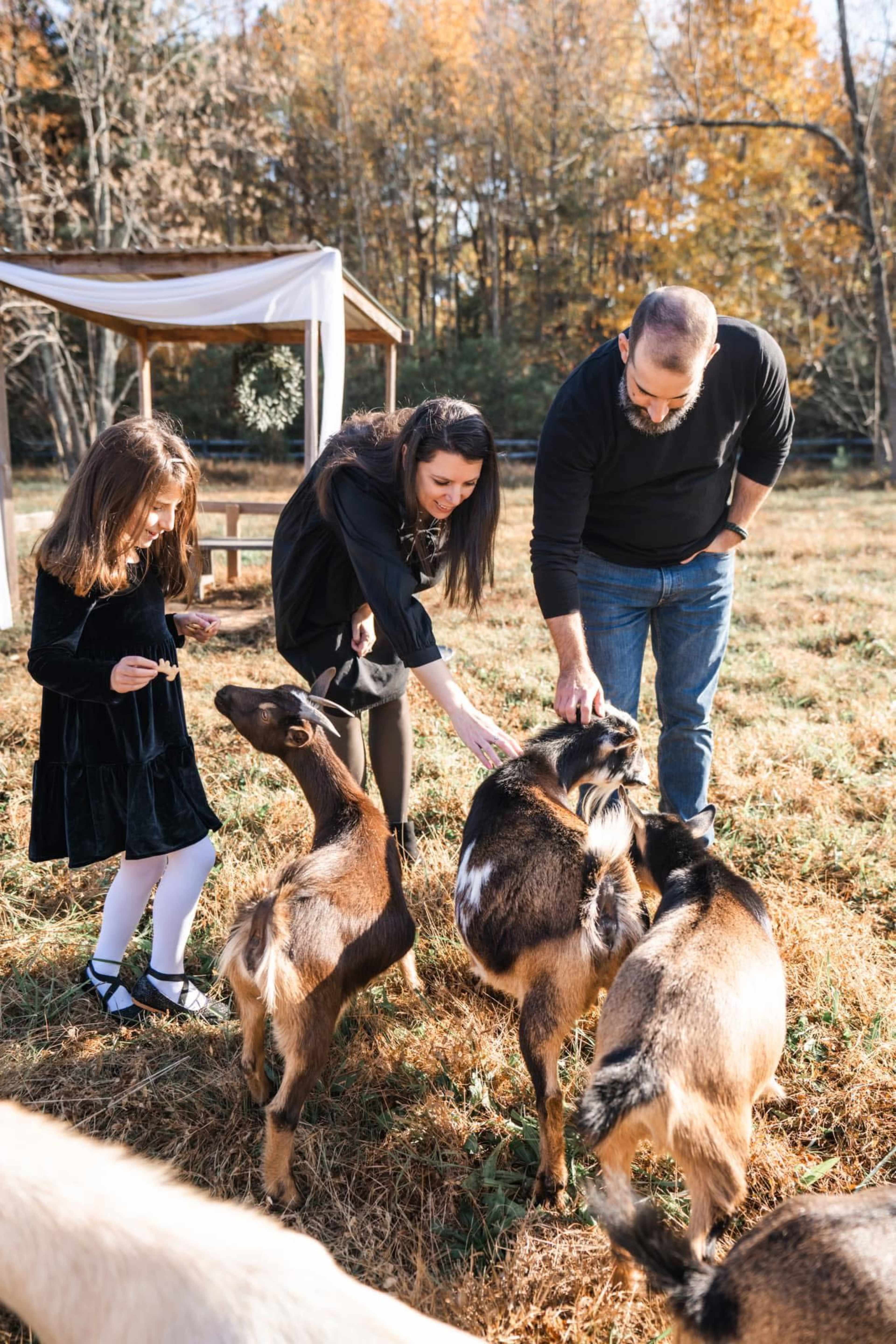 Working Farm with Goats Image in , Hayes, VA