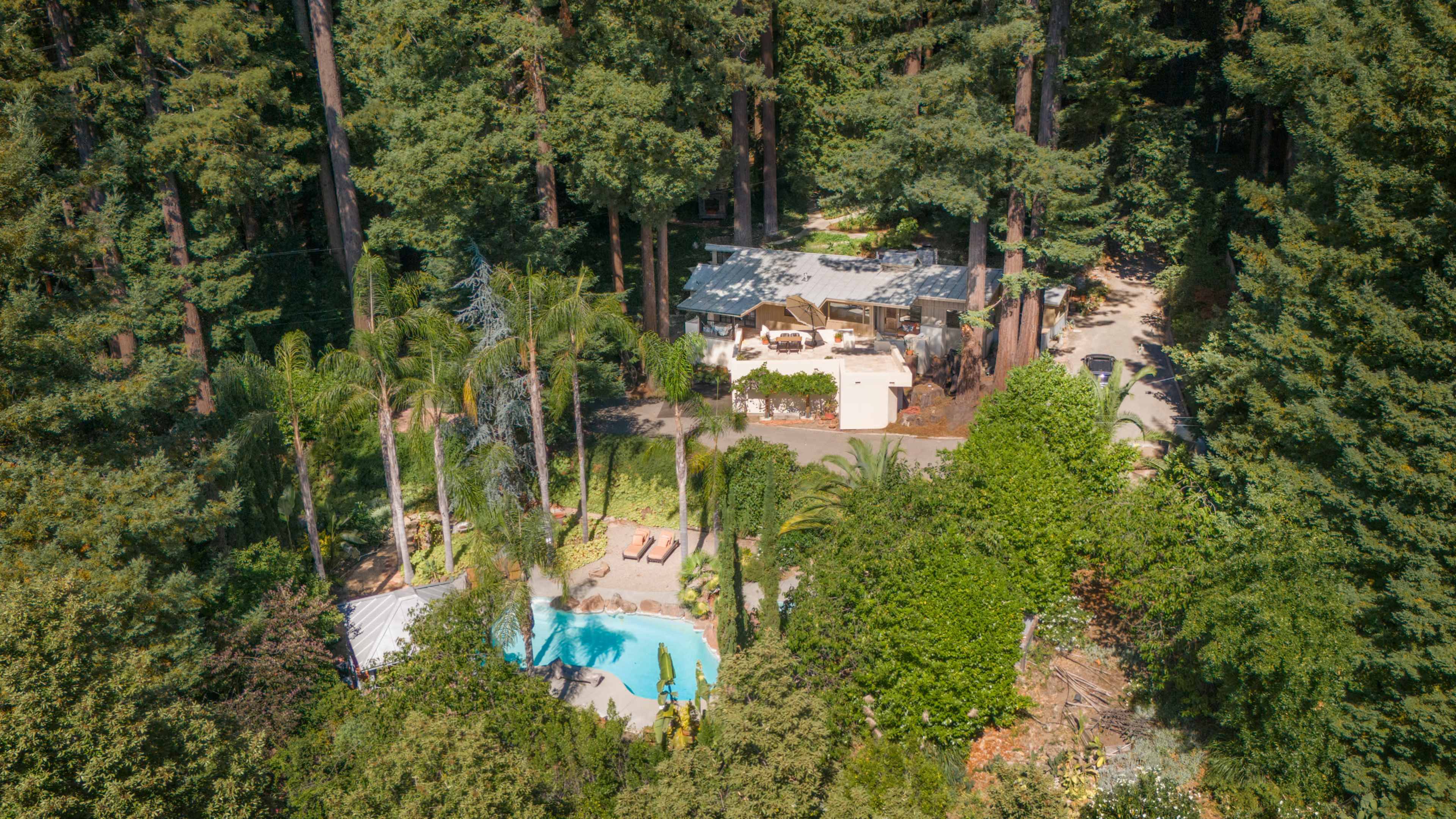 Modern Redwood Retreat with Pool Image in , los gatos, CA