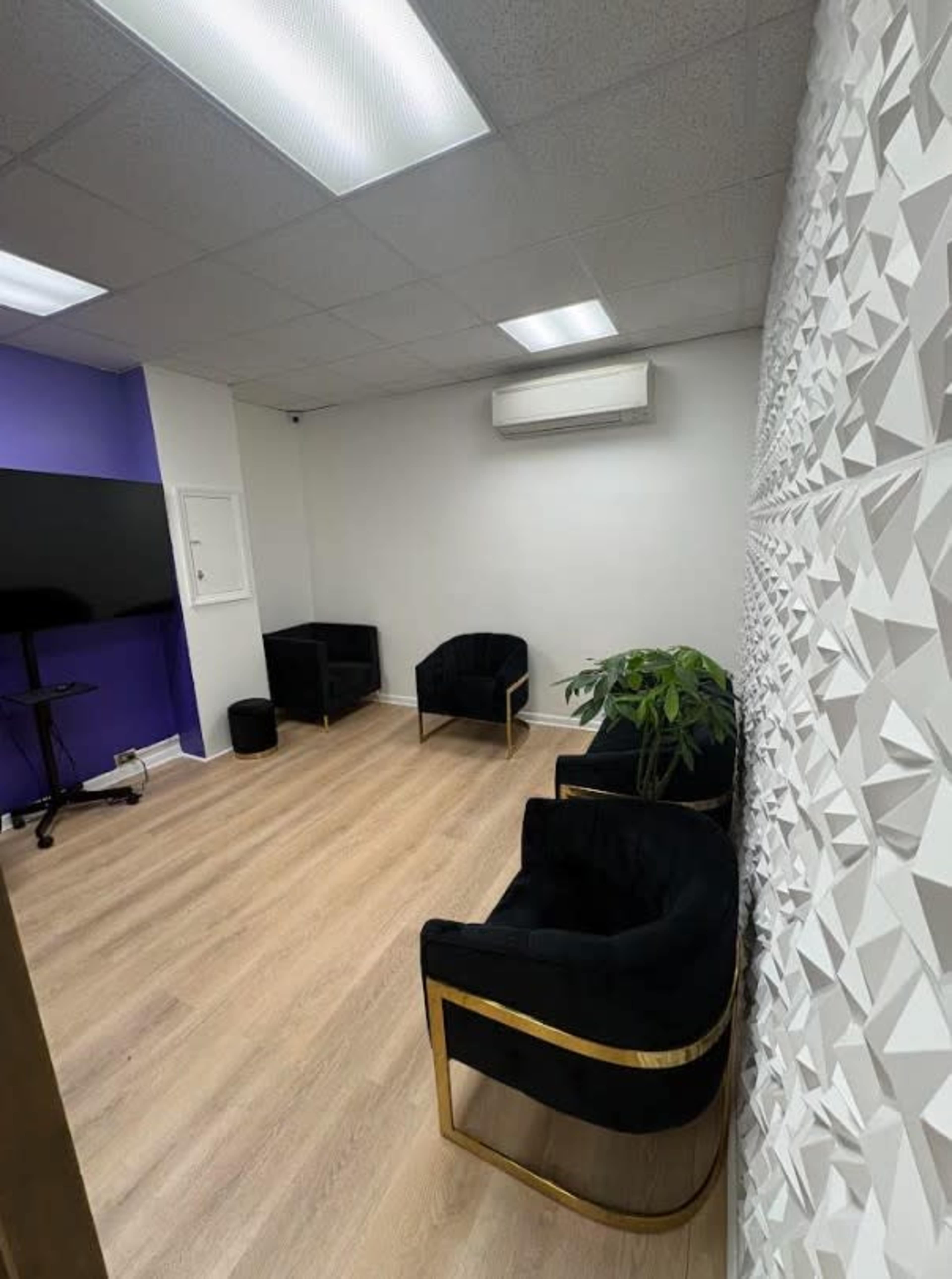 The image shows a small office space featuring black chairs with gold accents, a wall with a textured design, and a potted plant.
