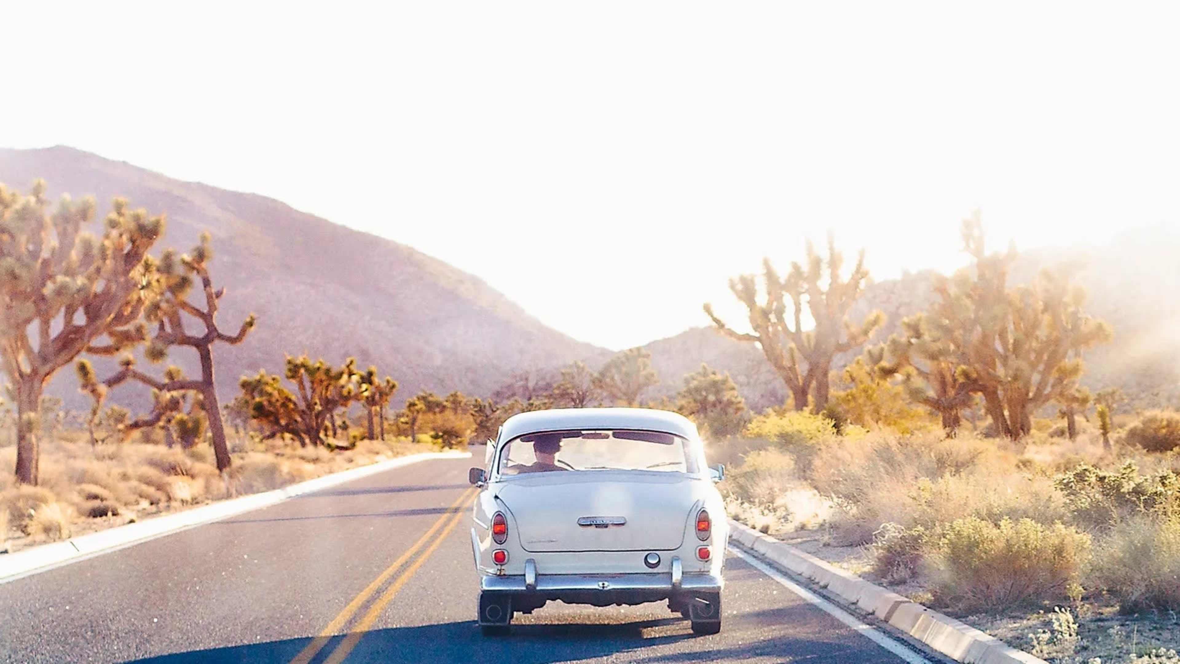 A vintage car drives down a winding road surrounded by desert landscape and Joshua trees under bright sunlight.