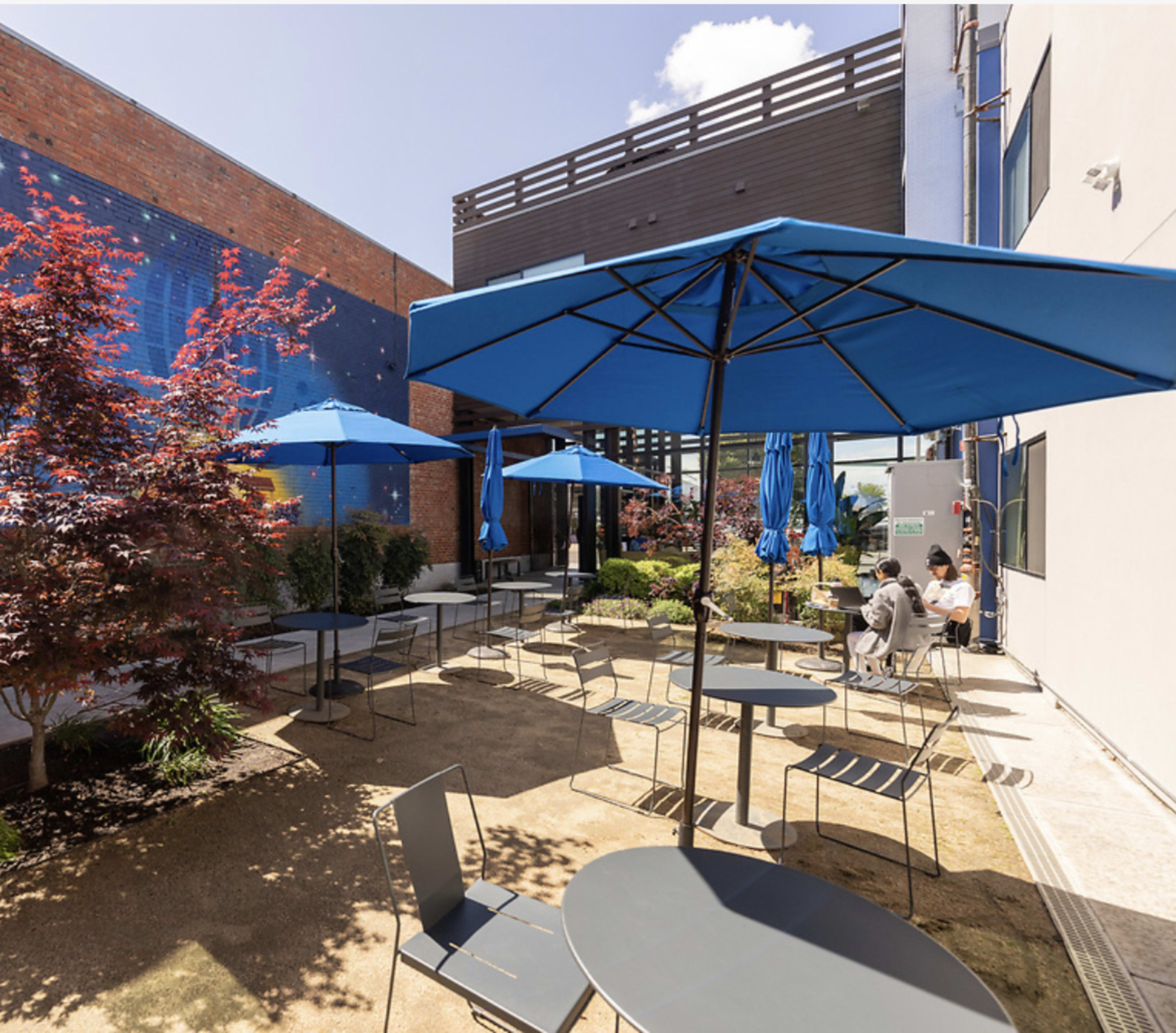 A courtyard features several blue umbrellas over metal tables and chairs, with greenery and a mural in the background.